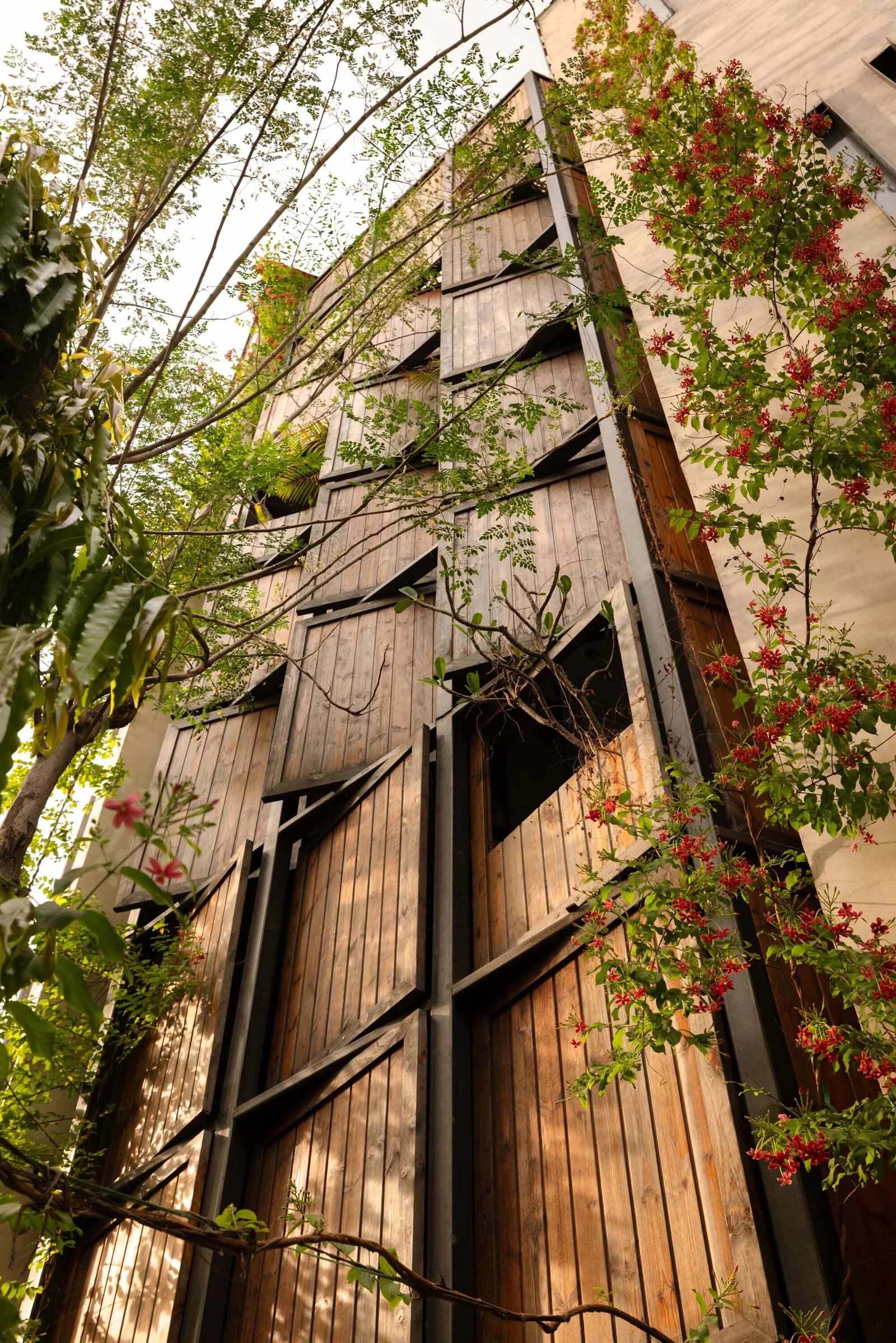 Дом Thirds / Architects Collaborative в Нью-Дели: участок-треугольник и архитектура на стыке улиц