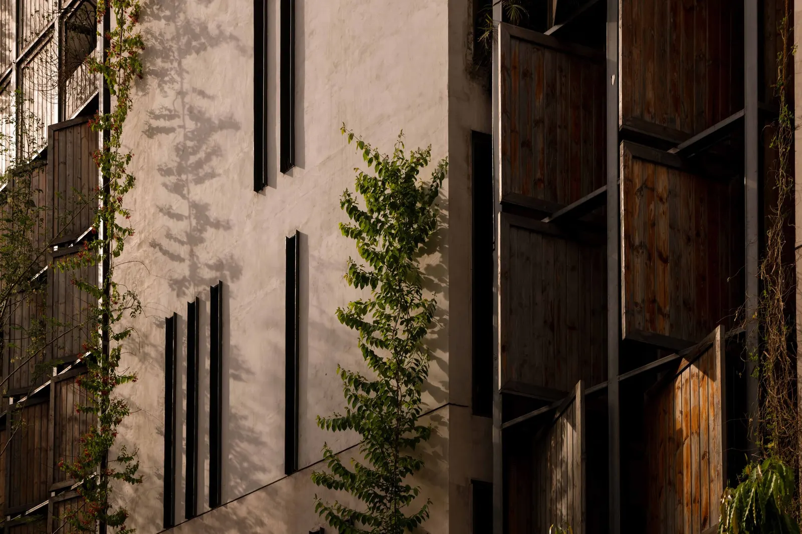 Дом Thirds / Architects Collaborative в Нью-Дели: участок-треугольник и архитектура на стыке улиц