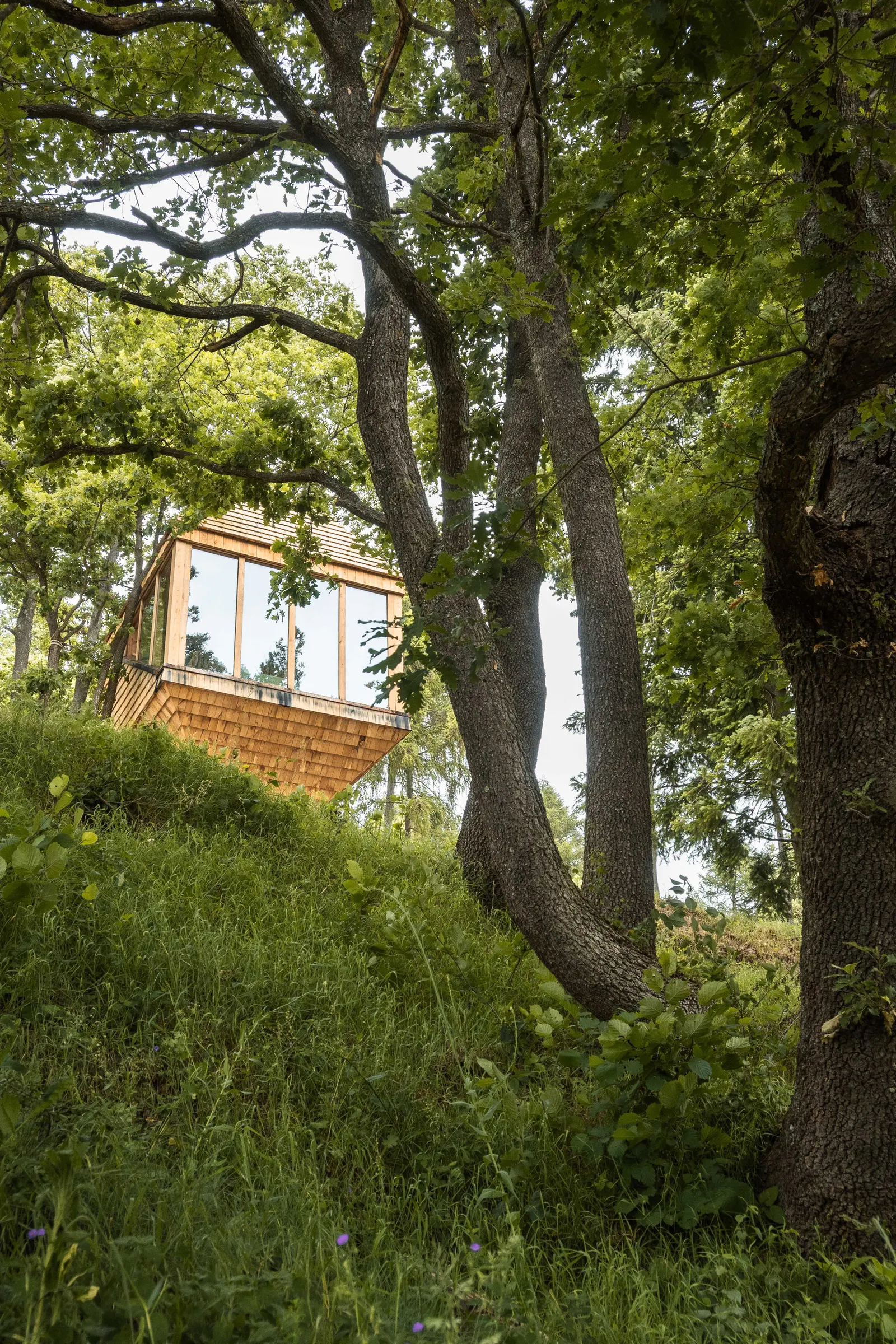 TreeBOX Cabin / Studio Officina82
