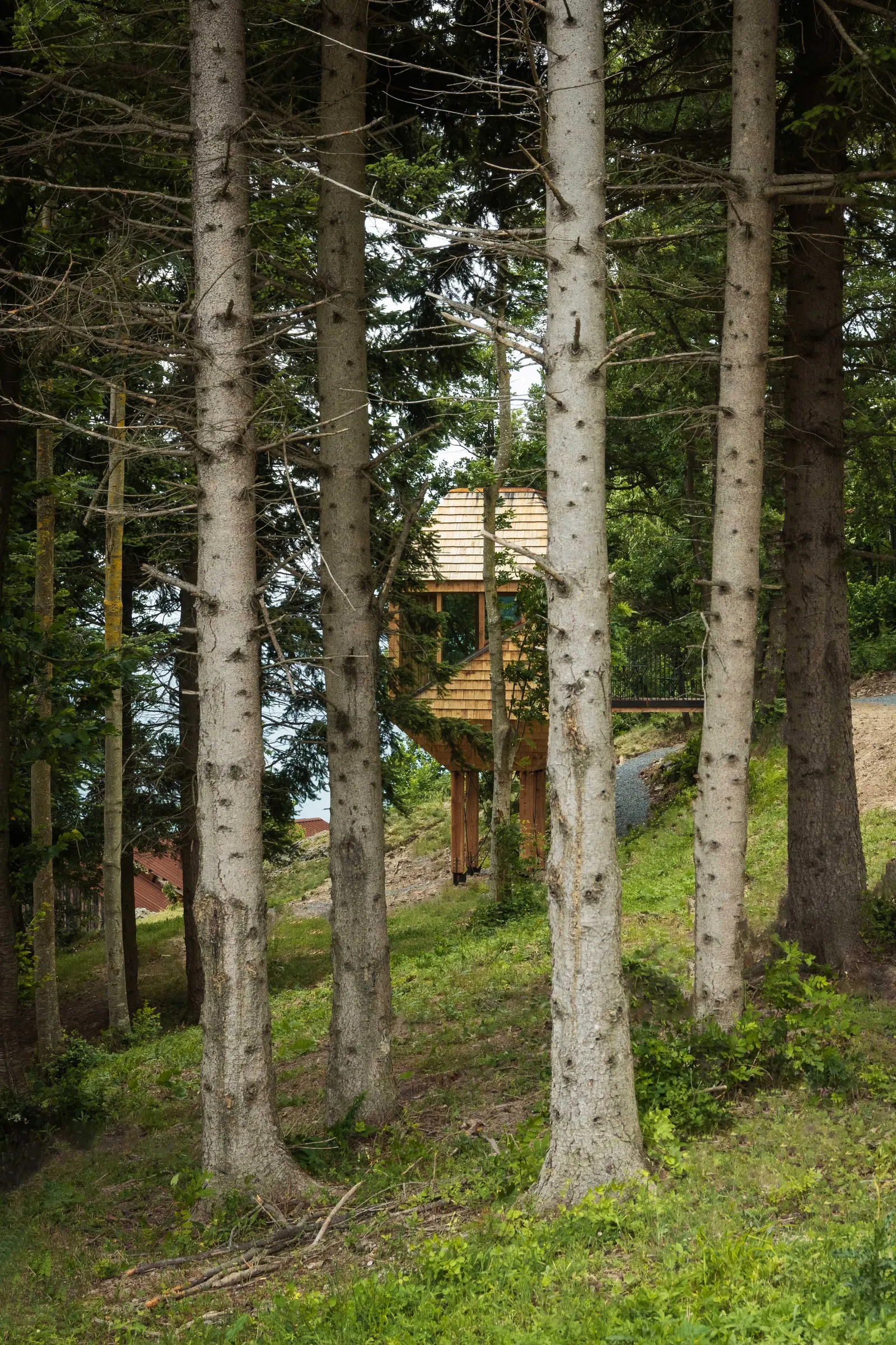 TreeBOX Cabin / Studio Officina82