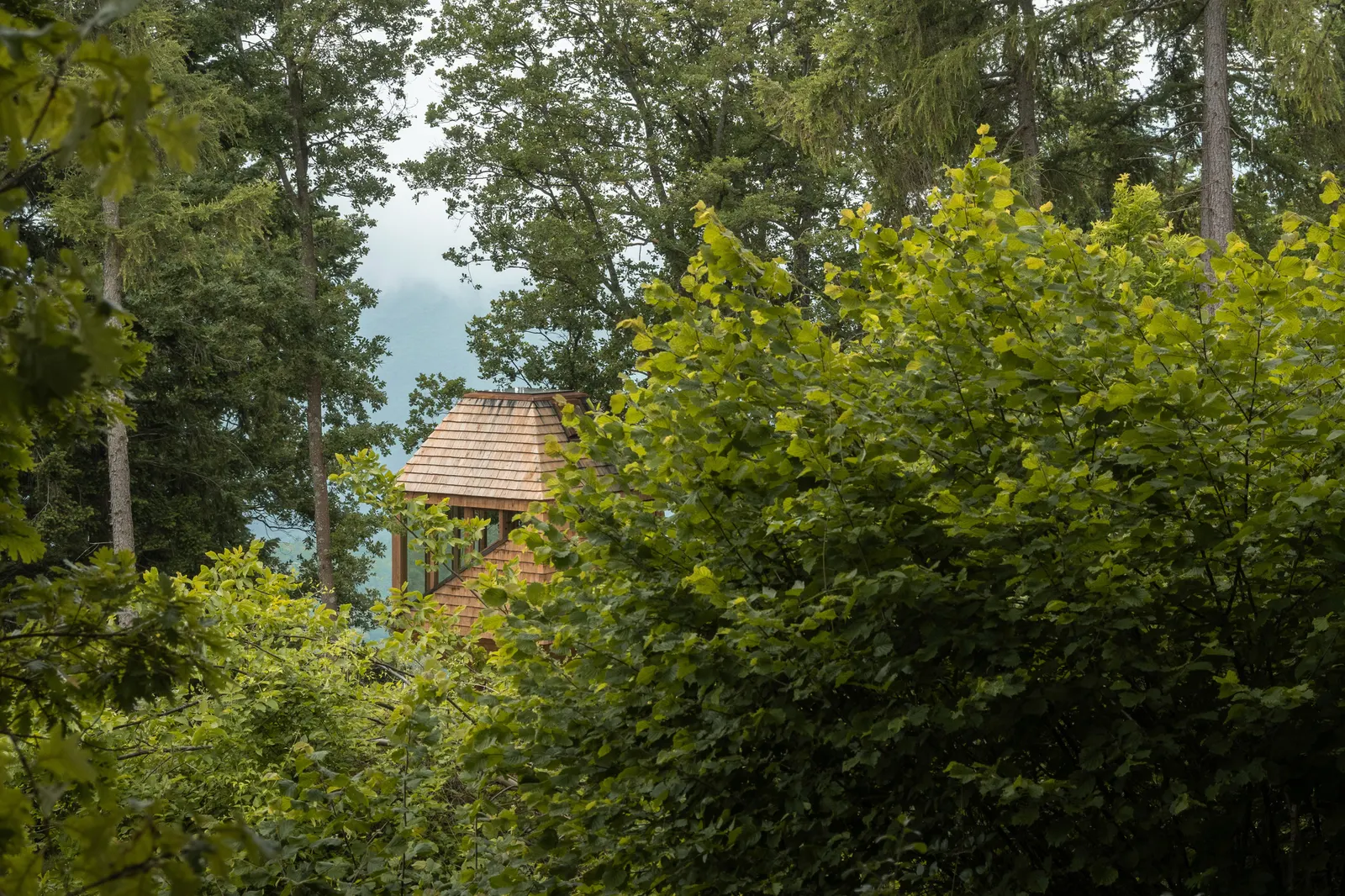 TreeBOX Cabin / Studio Officina82