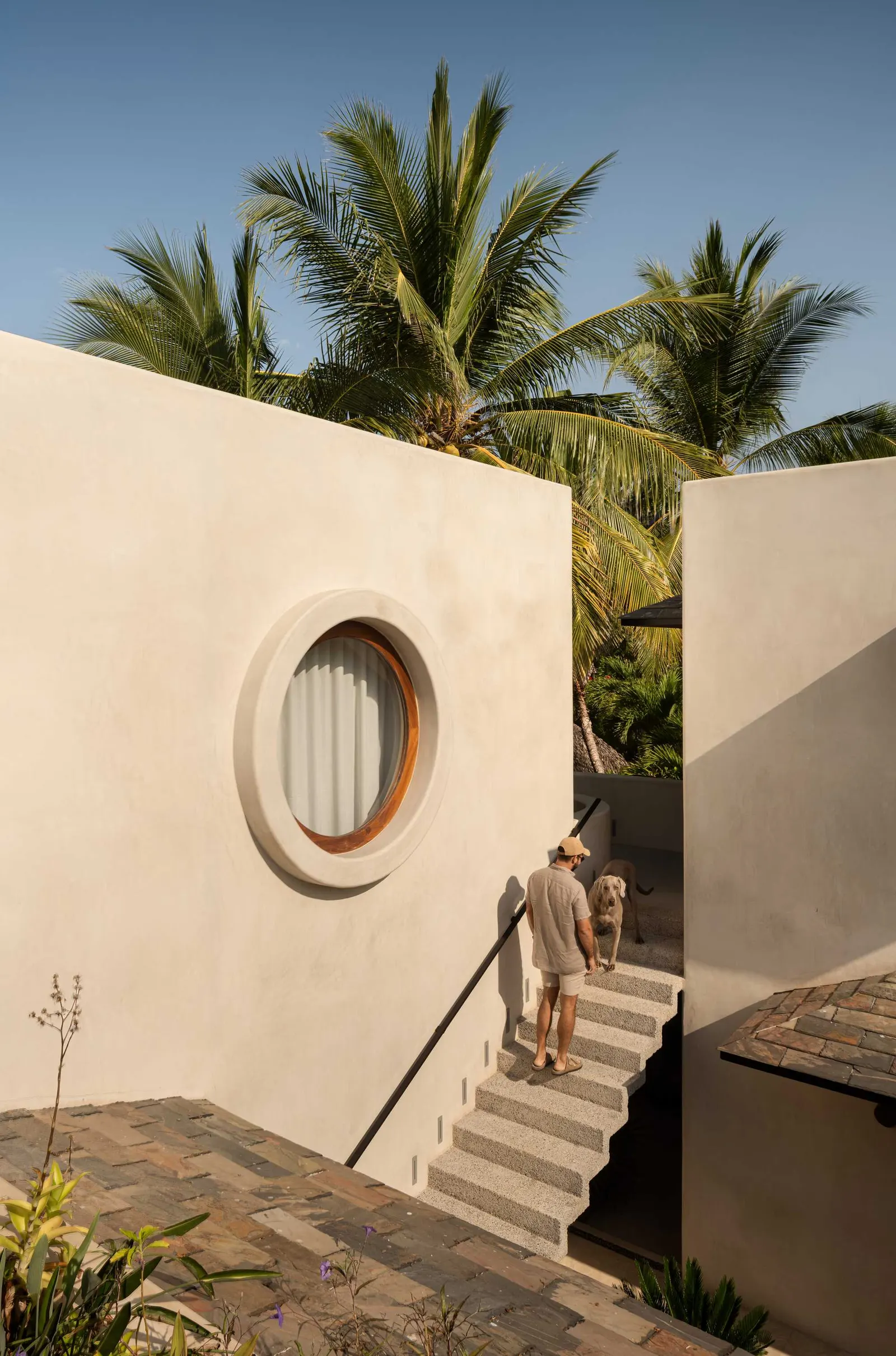 Casa Pura Vida / Zozaya Arquitectos