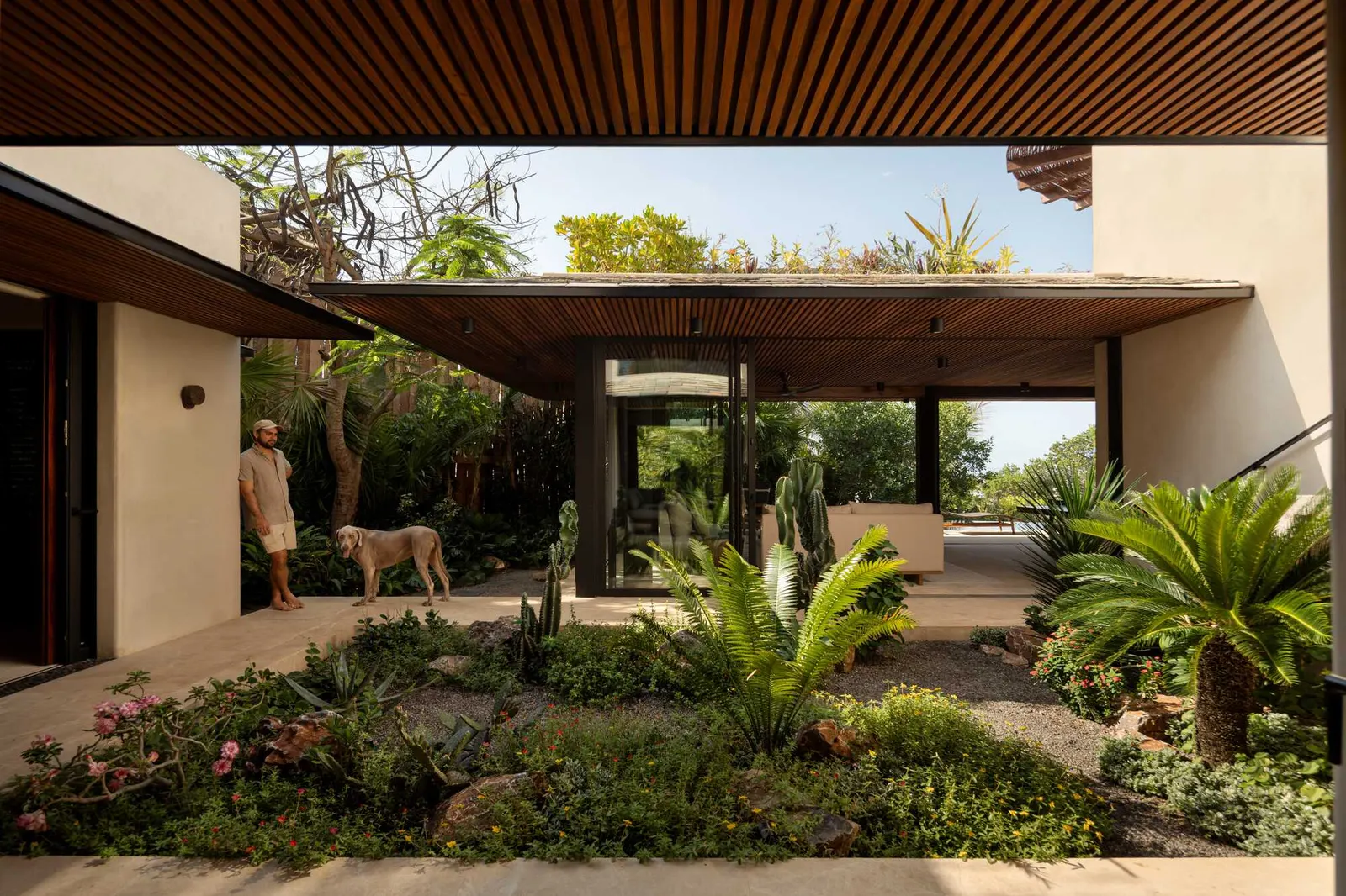 Casa Pura Vida / Zozaya Arquitectos