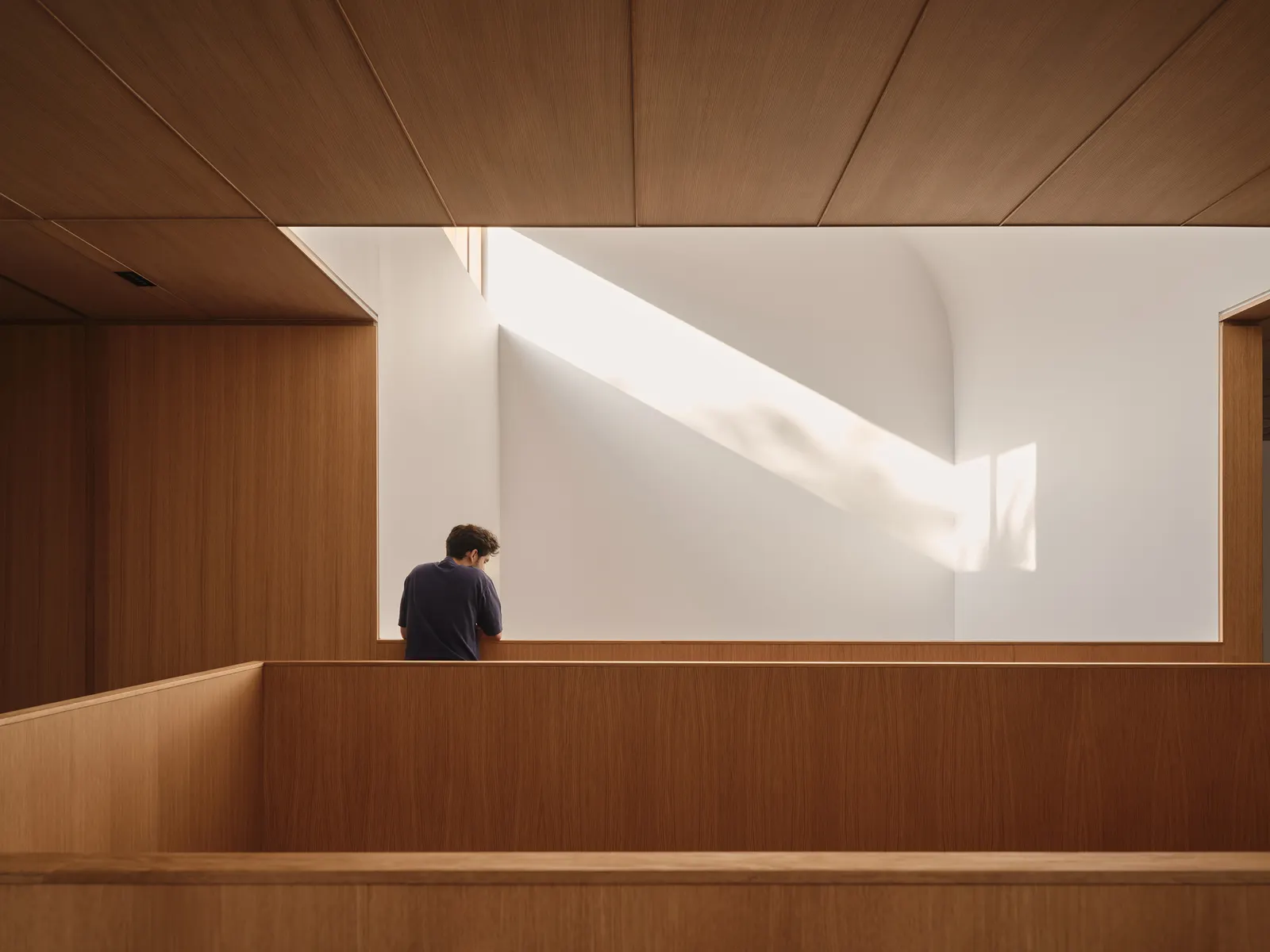 House of Monitors / Williamson Williamson