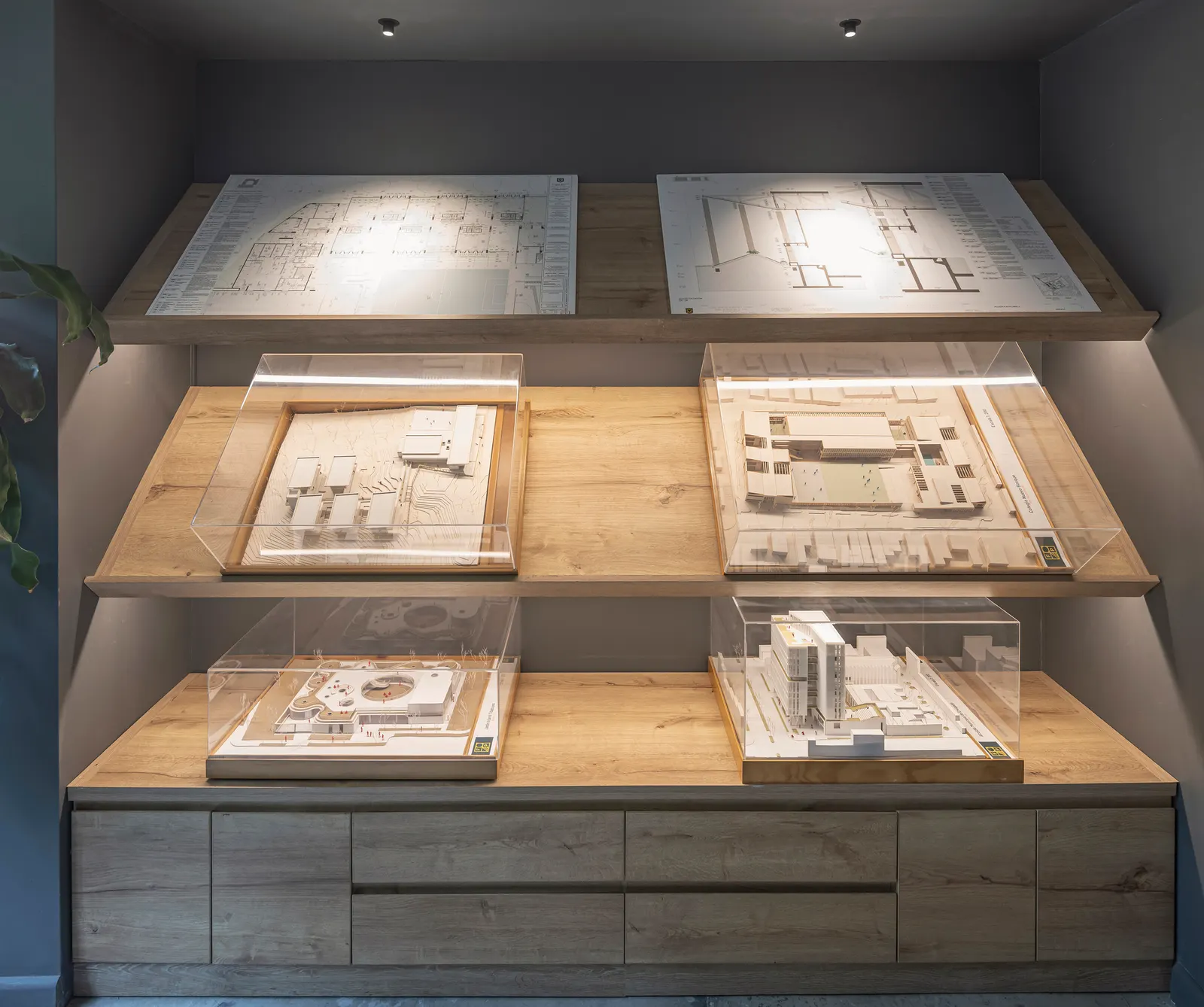 Office 101 Casa Andina / Caliza Arquitectura