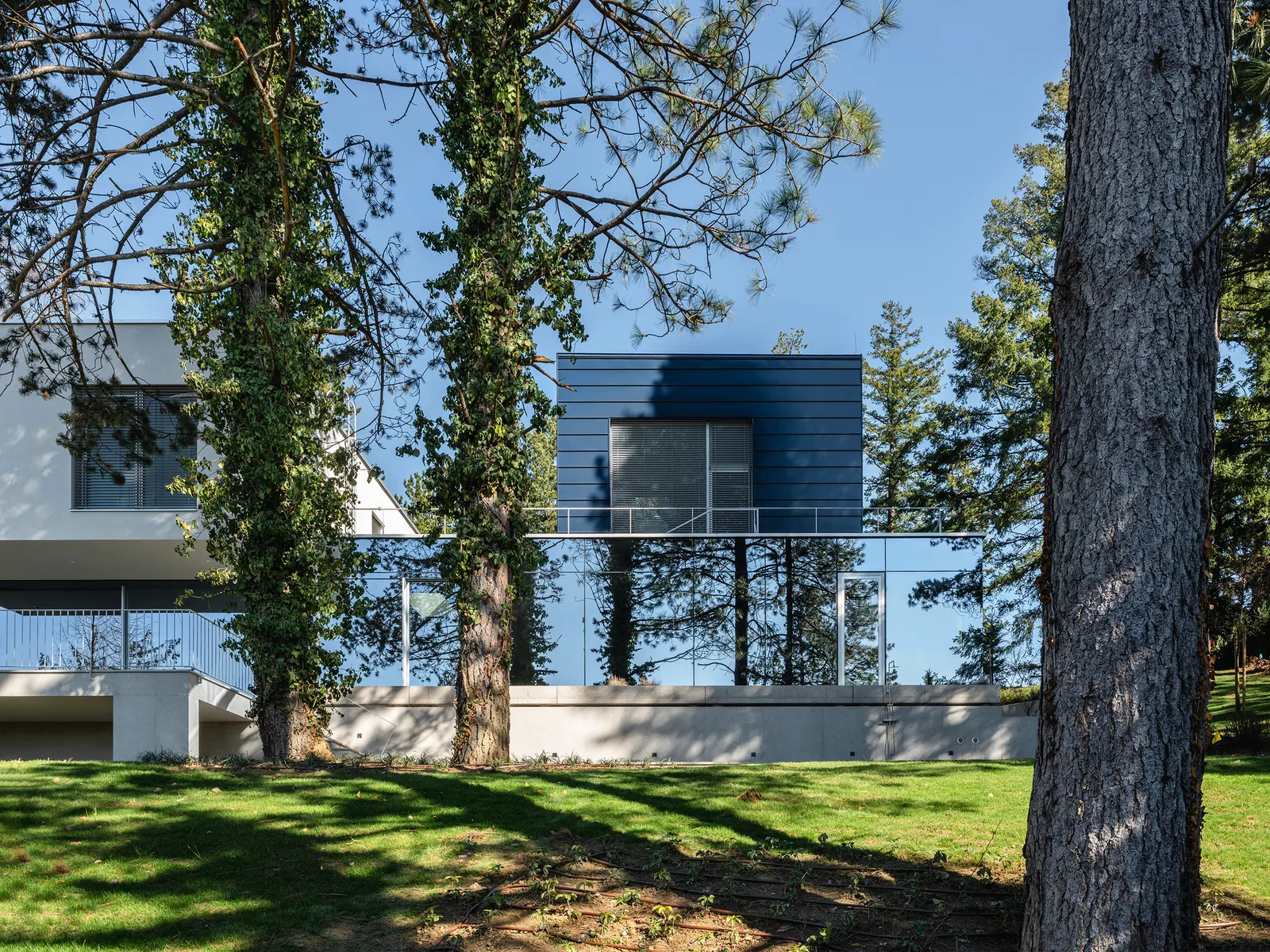 Curious House / FORVM в Загребе: дом, который работает с рельефом и деревьями