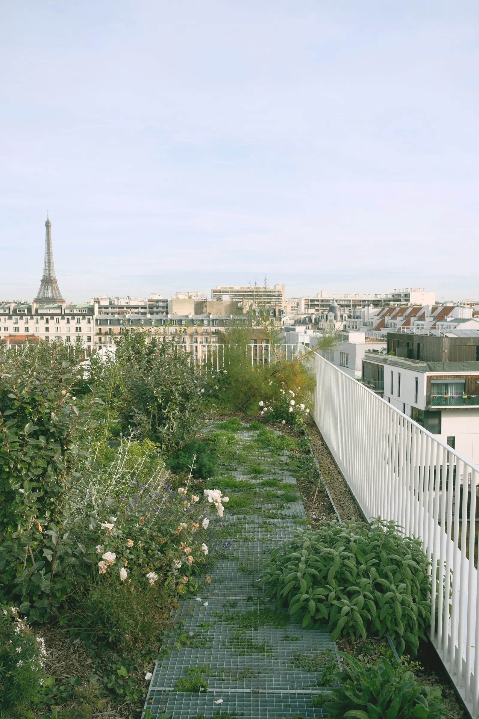 Résidence Lourmel / MARS Architectes
