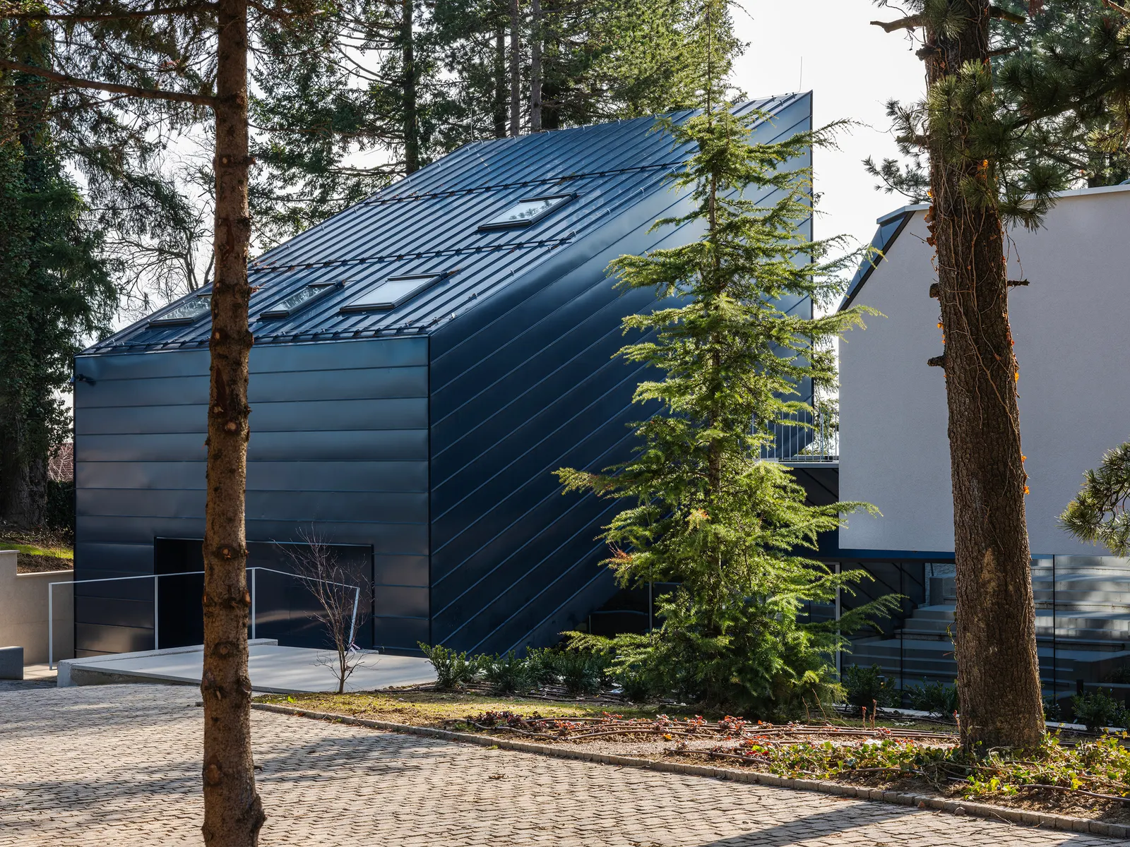 Curious House / FORVM в Загребе: дом, который работает с рельефом и деревьями
