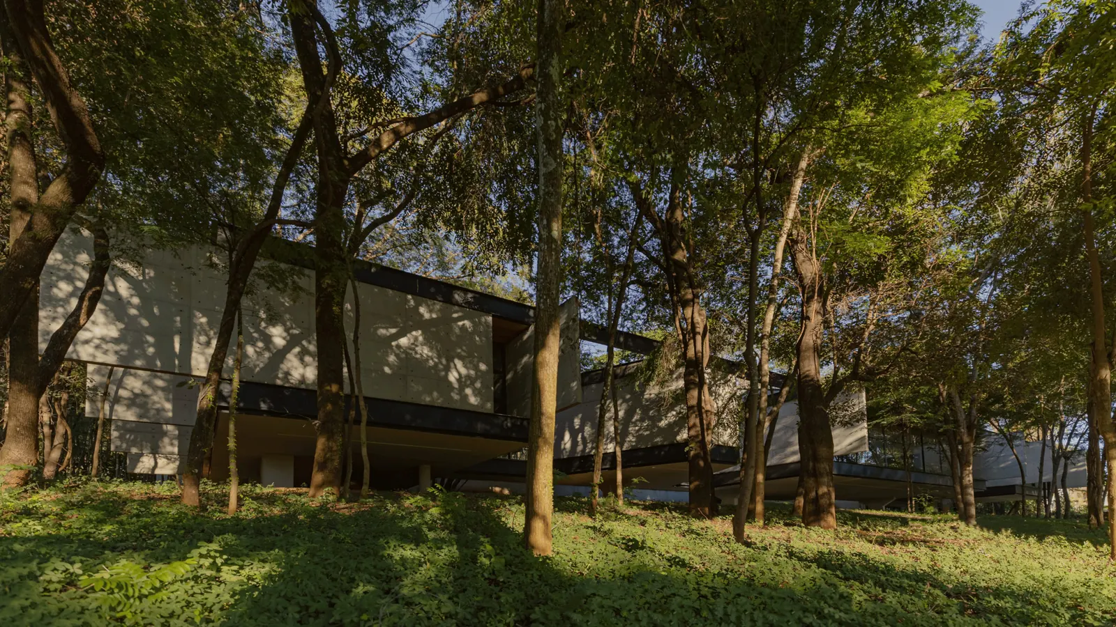 Adentro House / TETRO Arquitetura