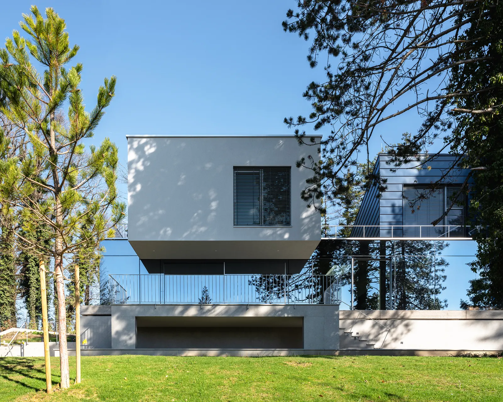 Curious House / FORVM в Загребе: дом, который работает с рельефом и деревьями