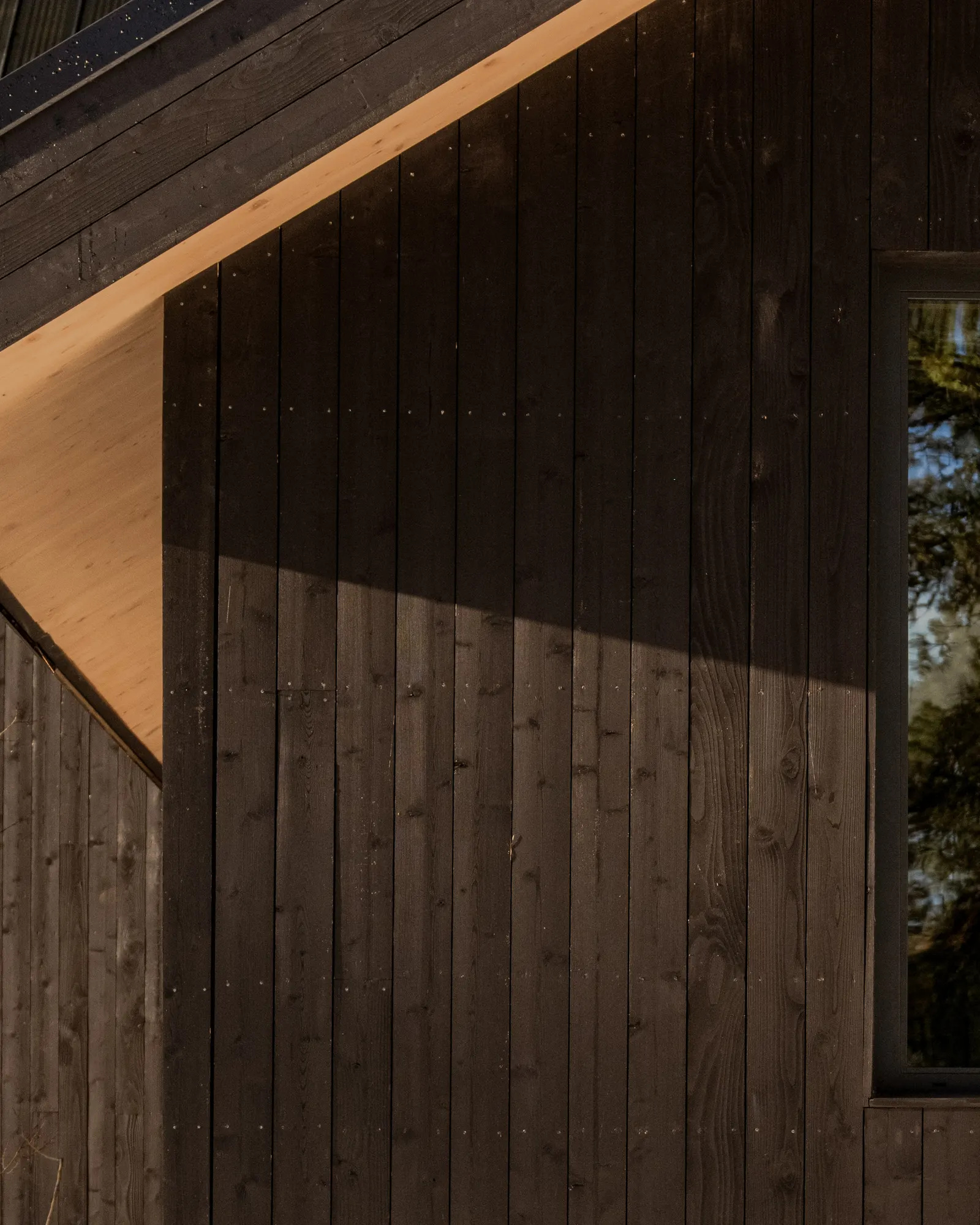 The Overlook House / Migration Studios