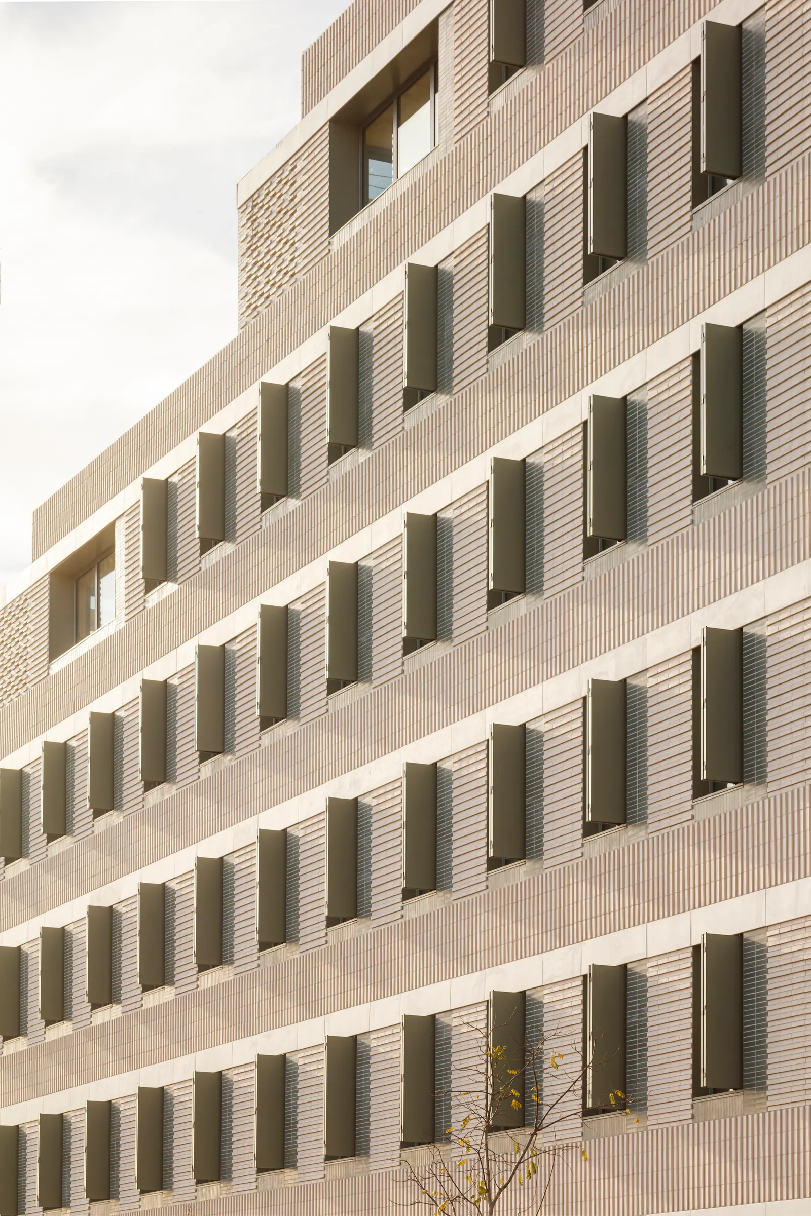 37 жилых домов в Л’Оспиталет-де-Льобрегат / b720 Fermín Vázquez Arquitectos