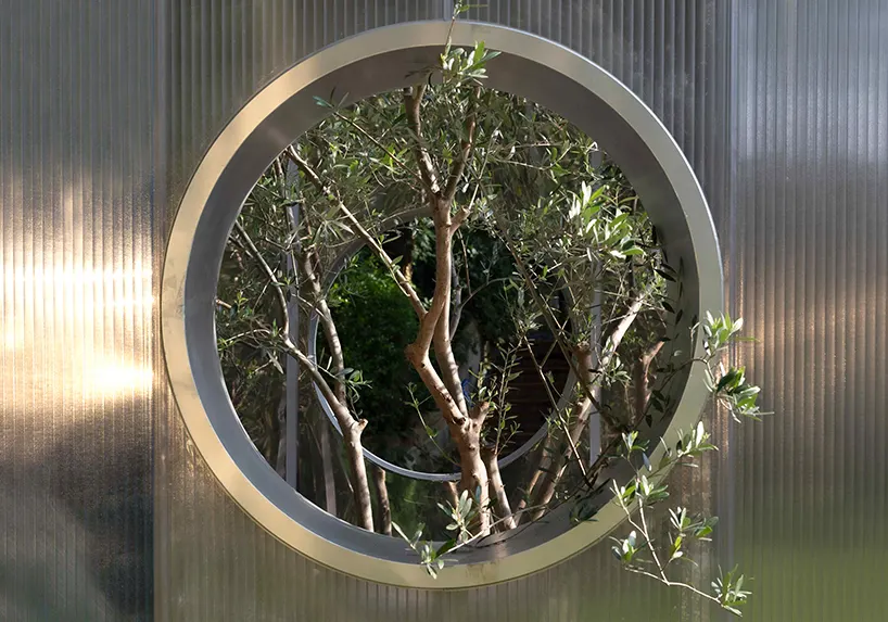 Curved mirrored steel walls multiply one tree into a forest in Infinite Grove pavilion in Shanghai