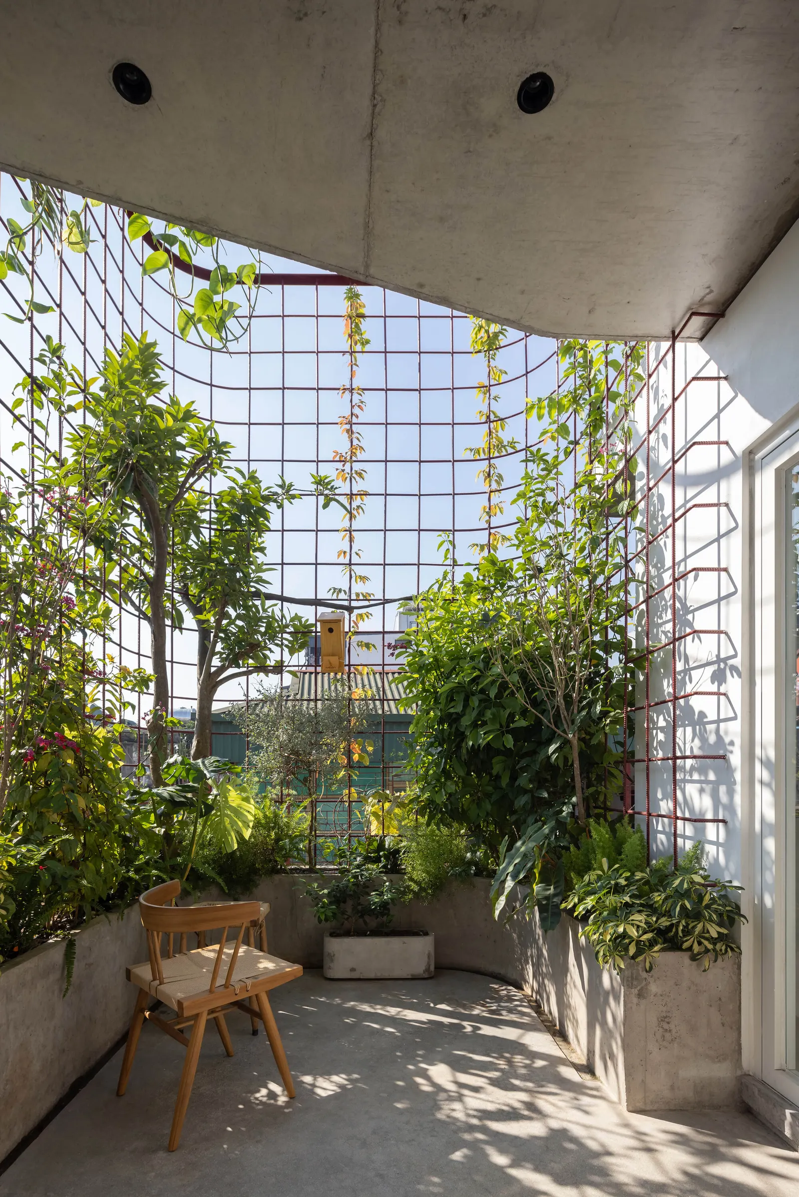 TH+ House / ODDO architects