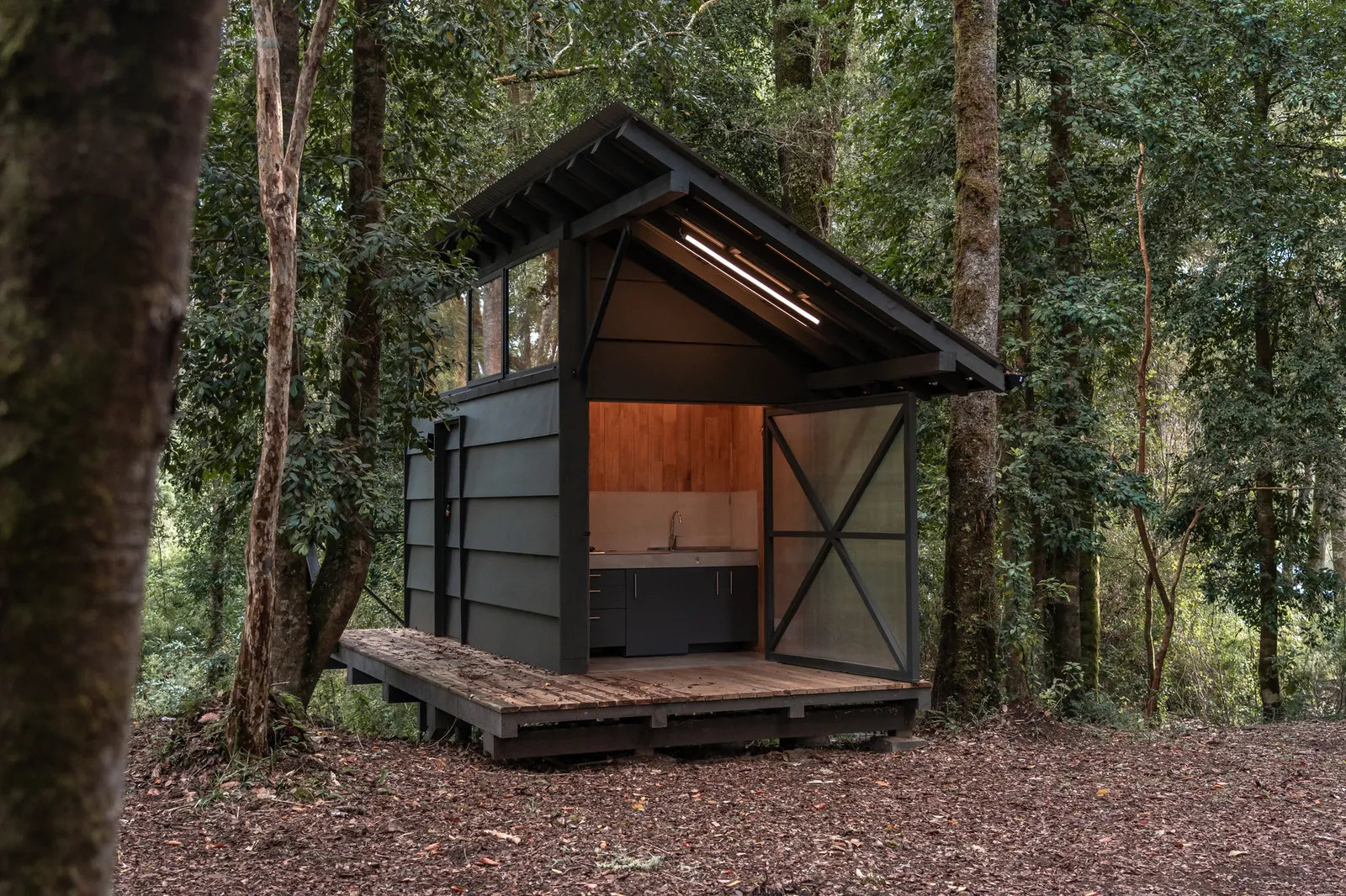Base Rupanco / remo estudio