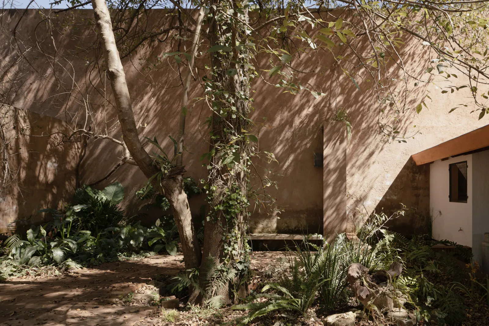 Casa Amona / COLAR Colectivo de Arquitectura