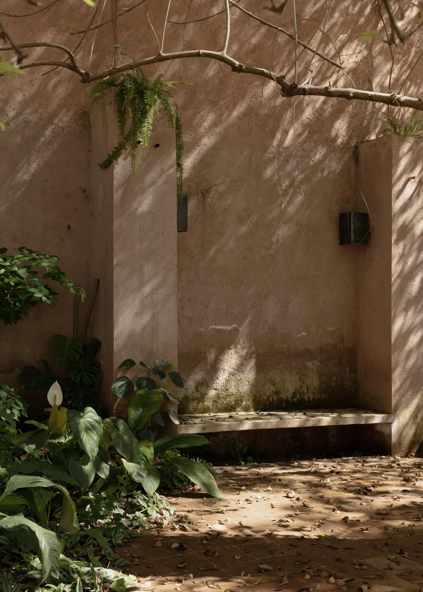 Casa Amona / COLAR Colectivo de Arquitectura