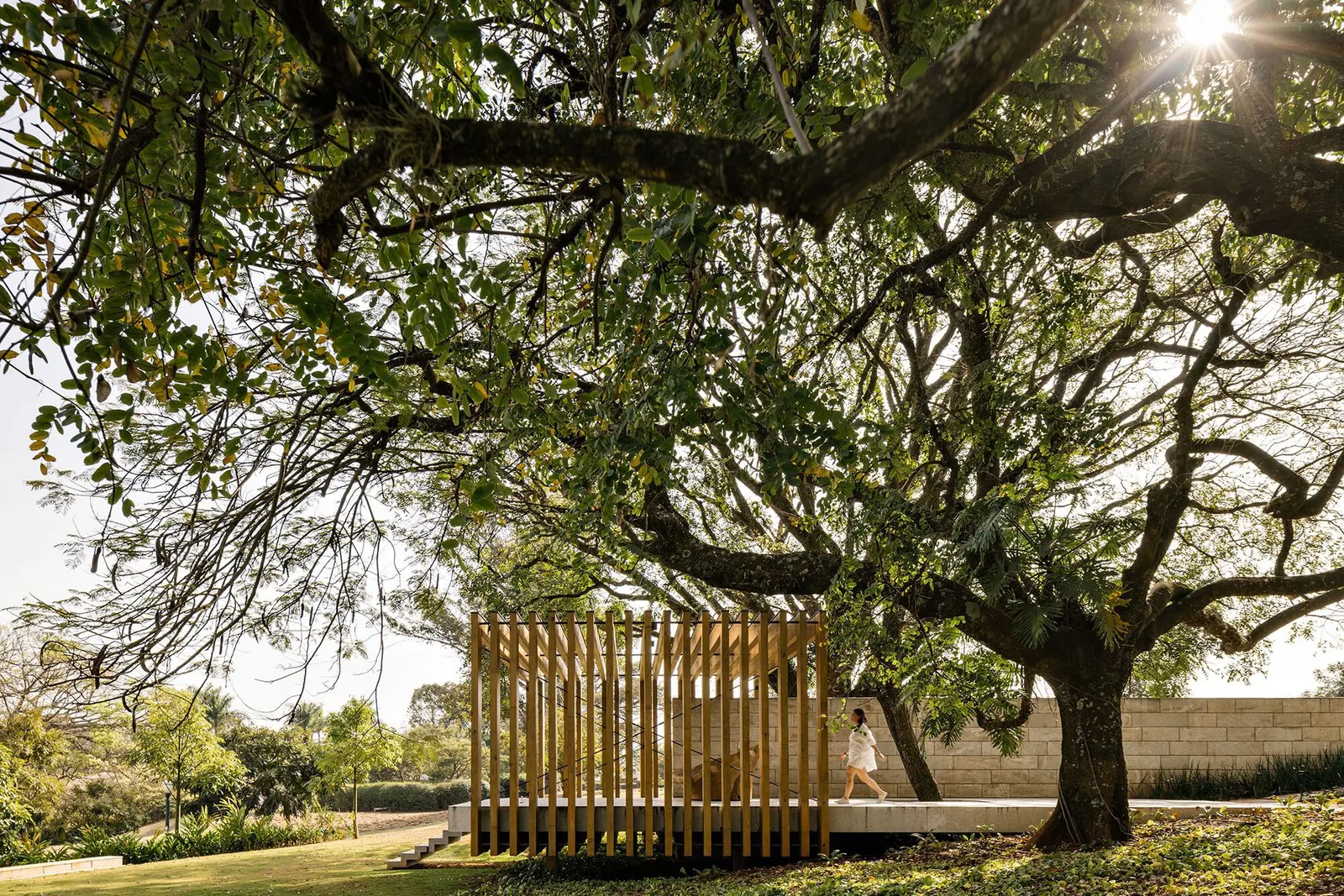 Bosque House / FGMF