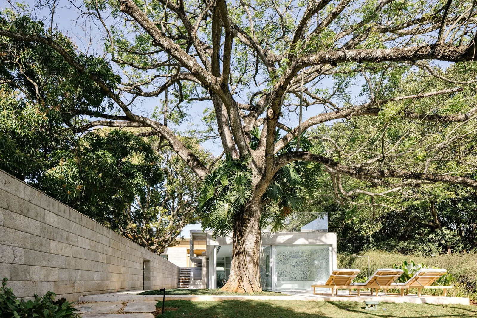 Bosque House / FGMF
