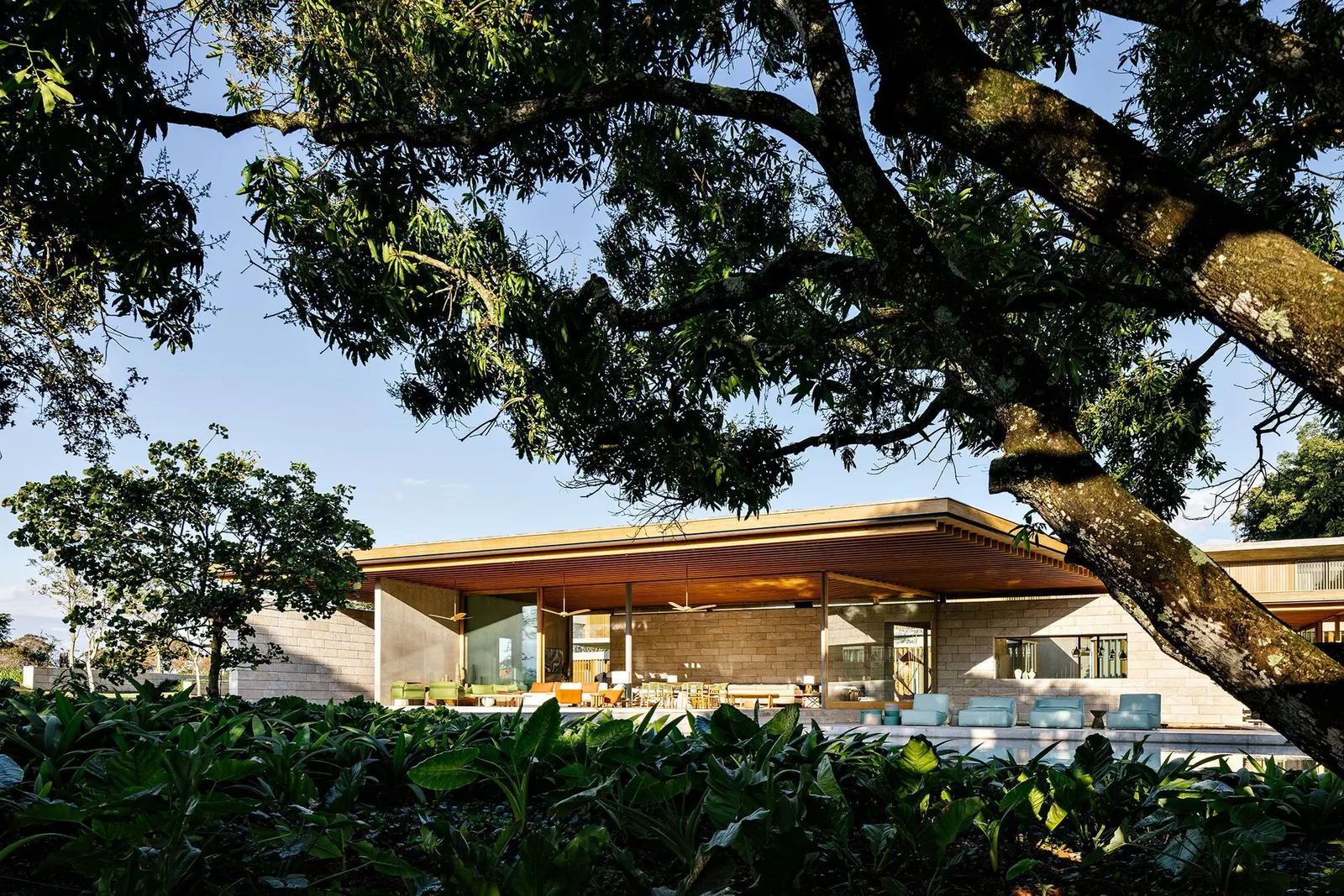 Bosque House / FGMF