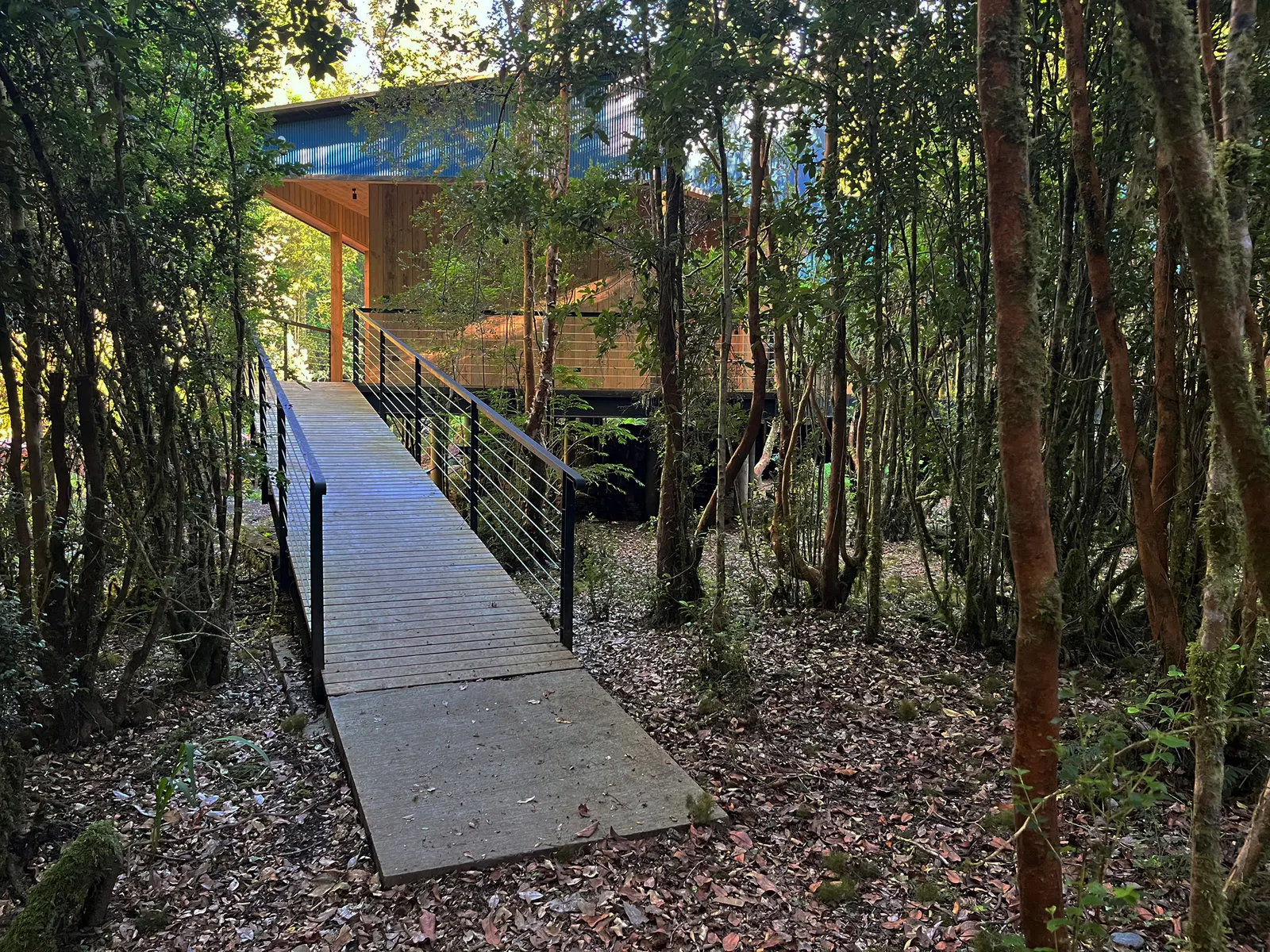 Gaviota House / SAA Arquitectura + Territorio