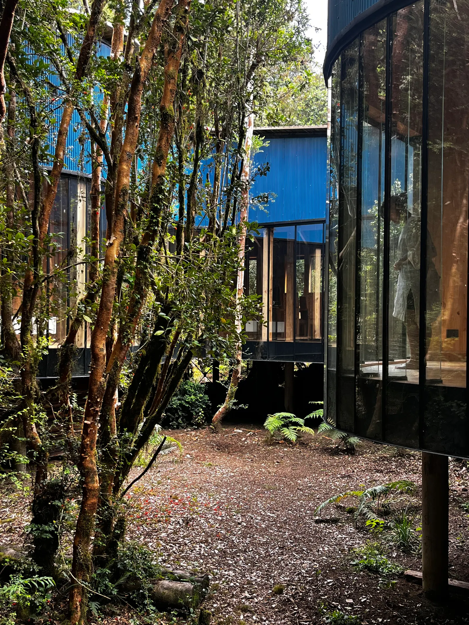 Gaviota House / SAA Arquitectura + Territorio