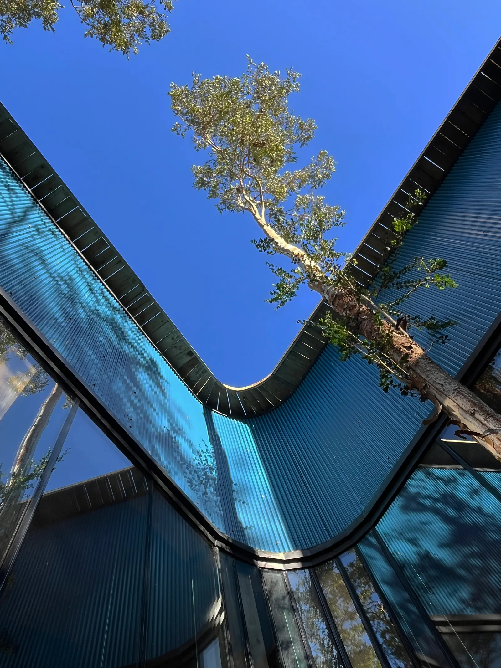 Gaviota House / SAA Arquitectura + Territorio
