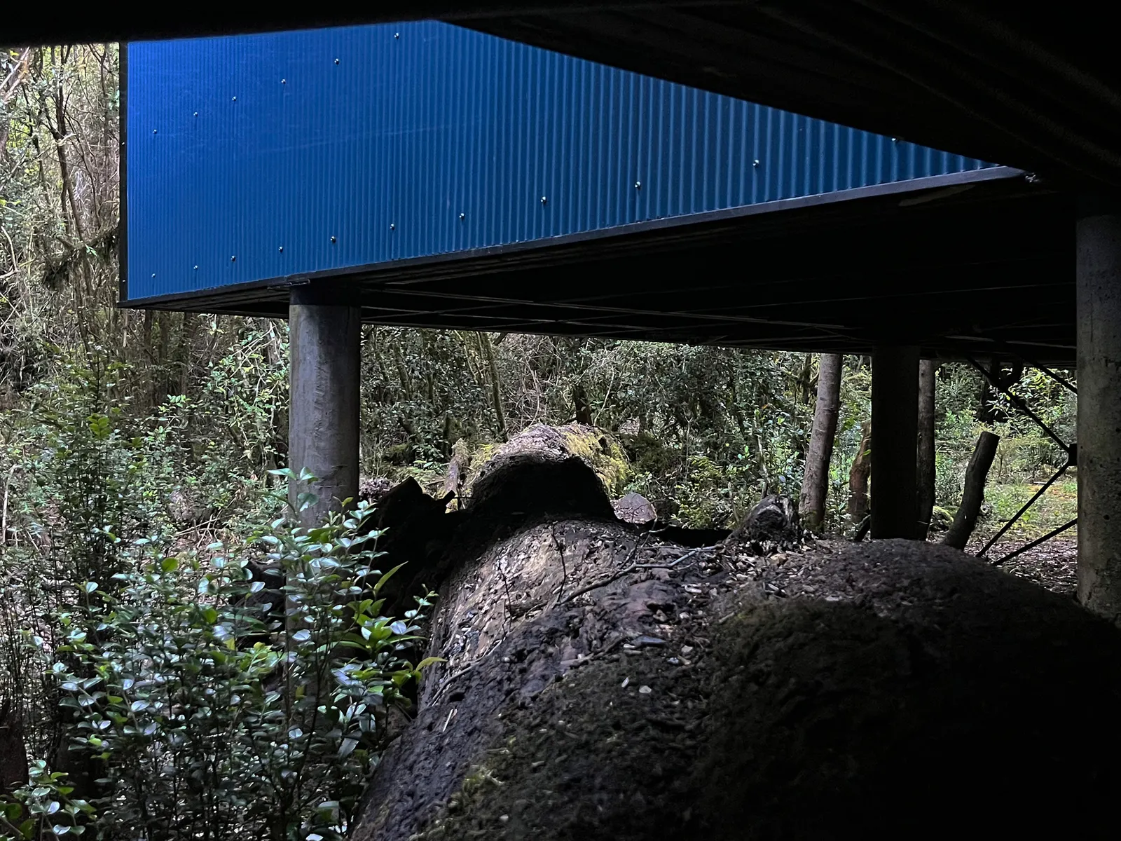 Gaviota House / SAA Arquitectura + Territorio