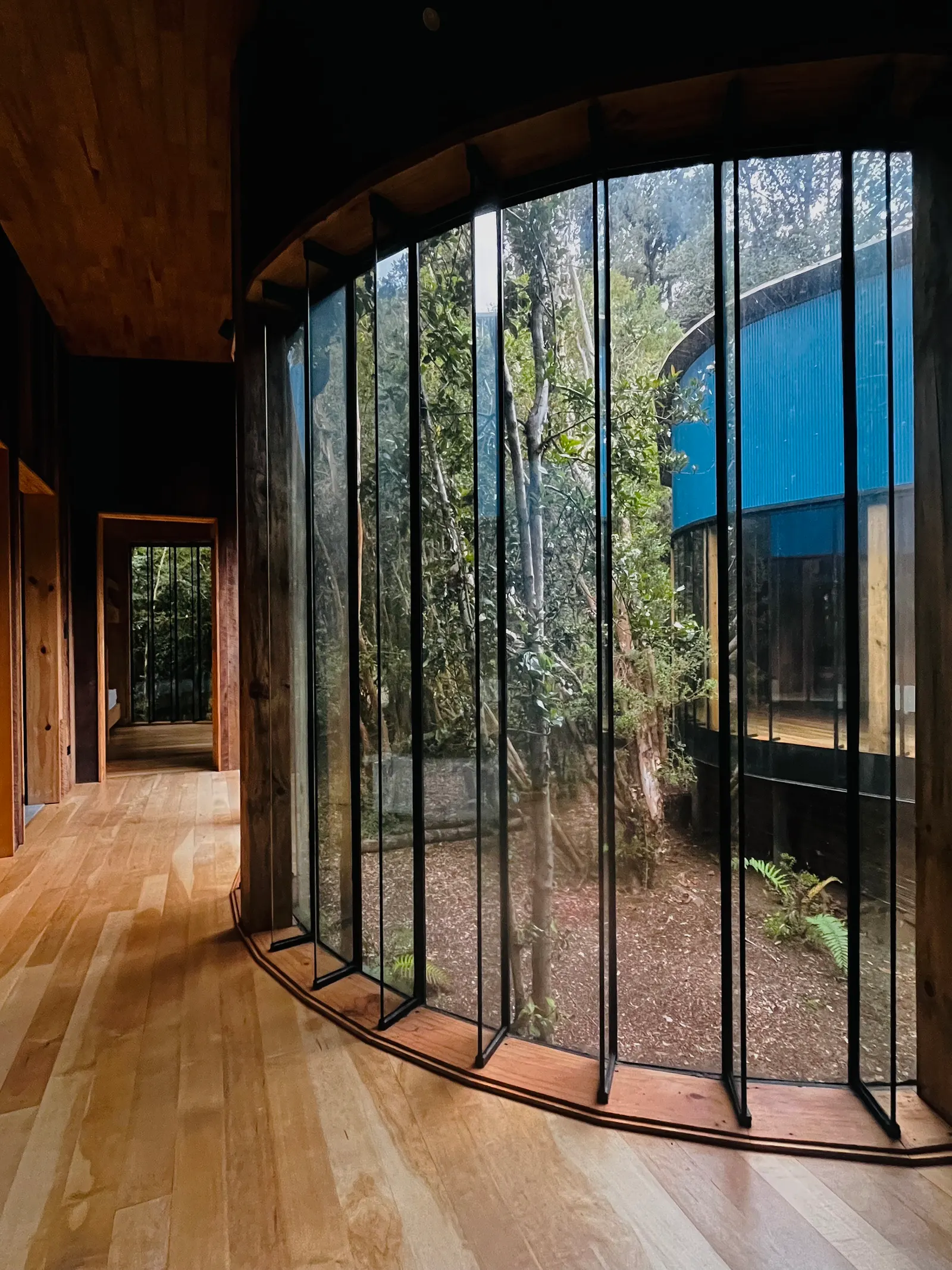 Gaviota House / SAA Arquitectura + Territorio