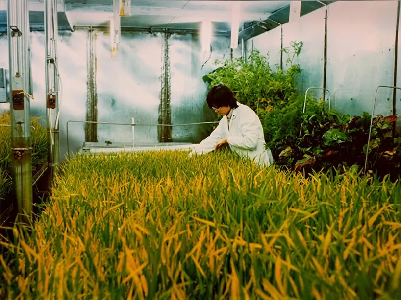 Когда дом становится системой жизнеобеспечения: как проектируют habitats для Марса и Луны