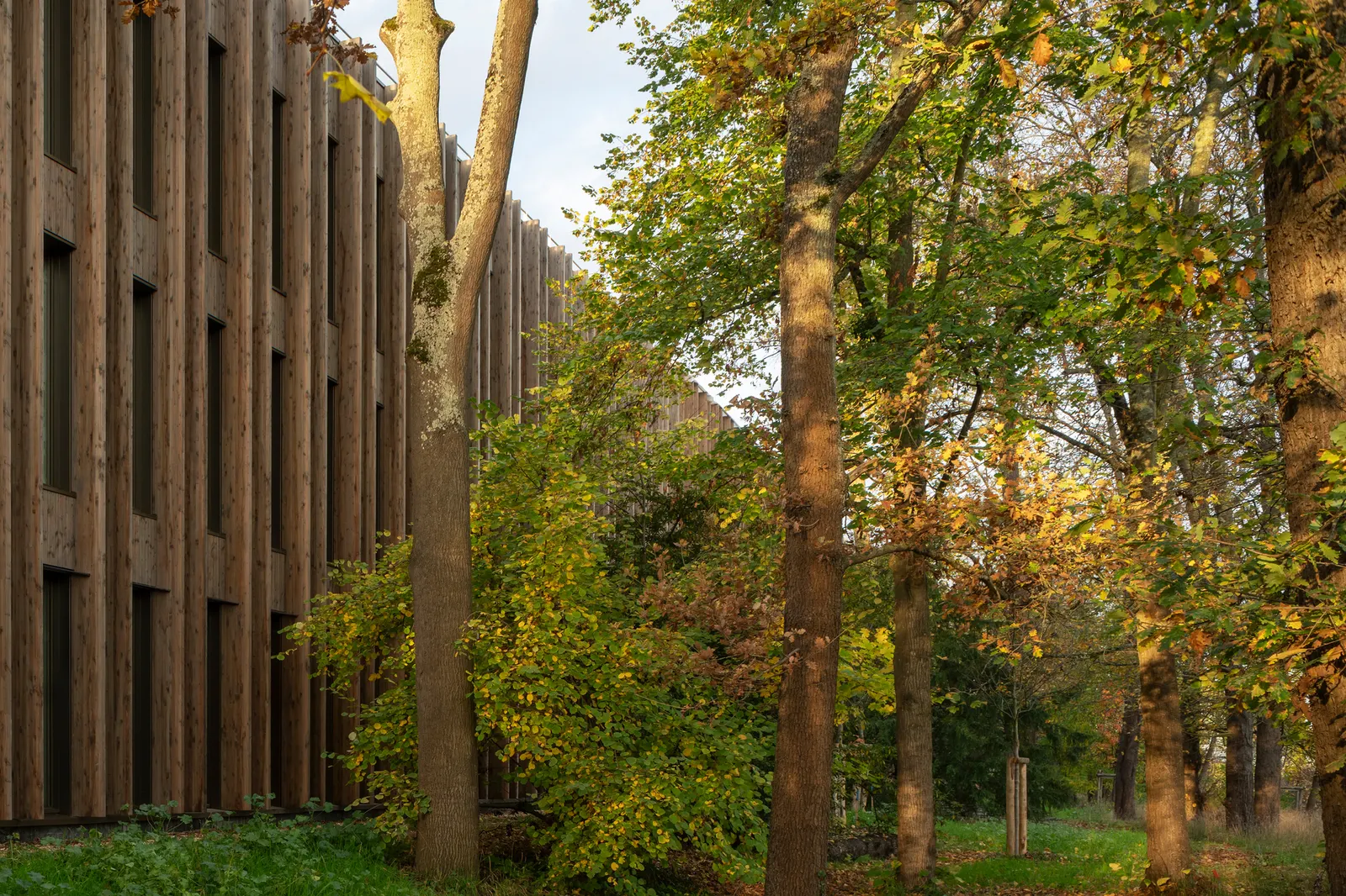 IXCAMPUS / Baumschlager Eberle Architekten