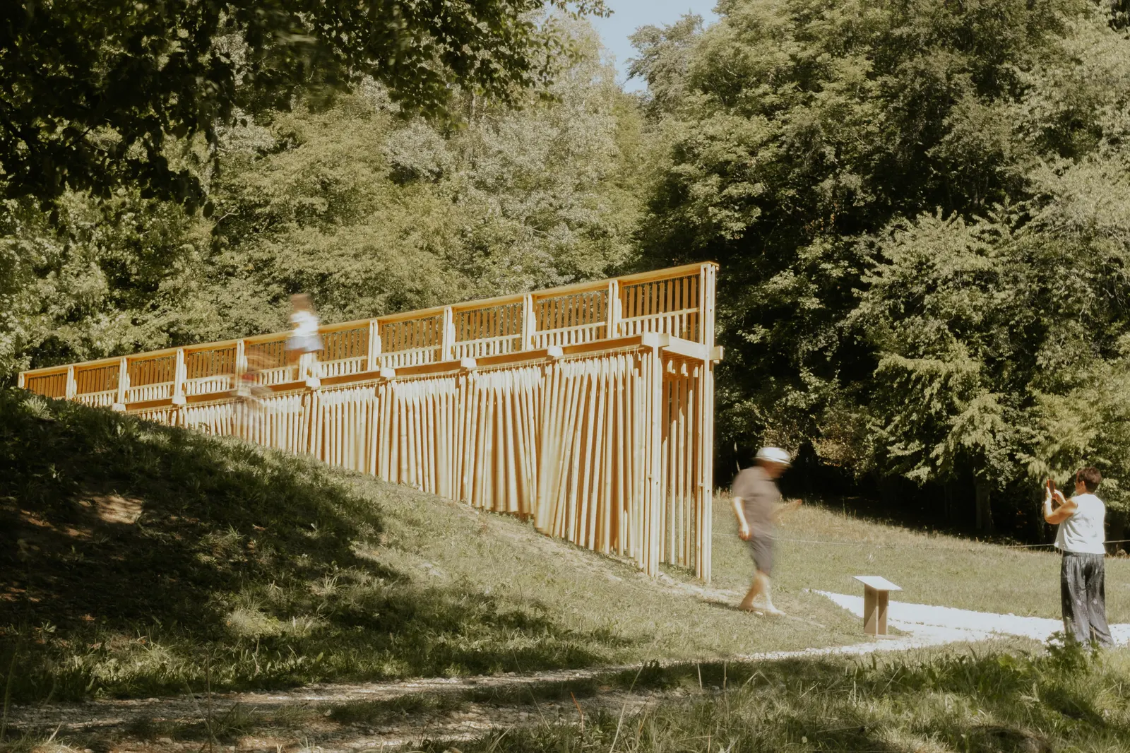 The Sound of Wood / Antoine Aunave, Flora Peyrot, Mathilde Steenhaut, Luc Loviton