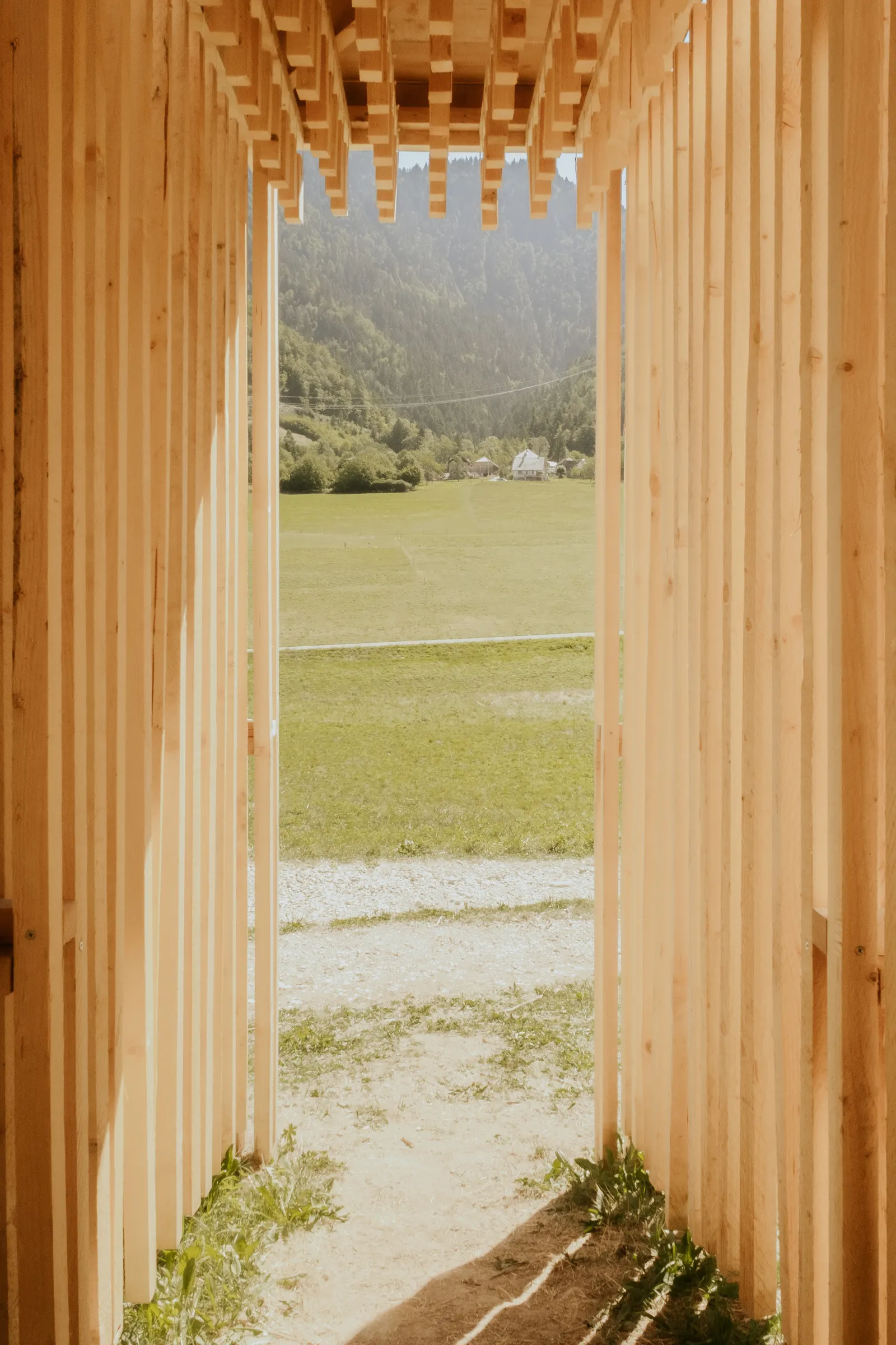 The Sound of Wood / Antoine Aunave, Flora Peyrot, Mathilde Steenhaut, Luc Loviton