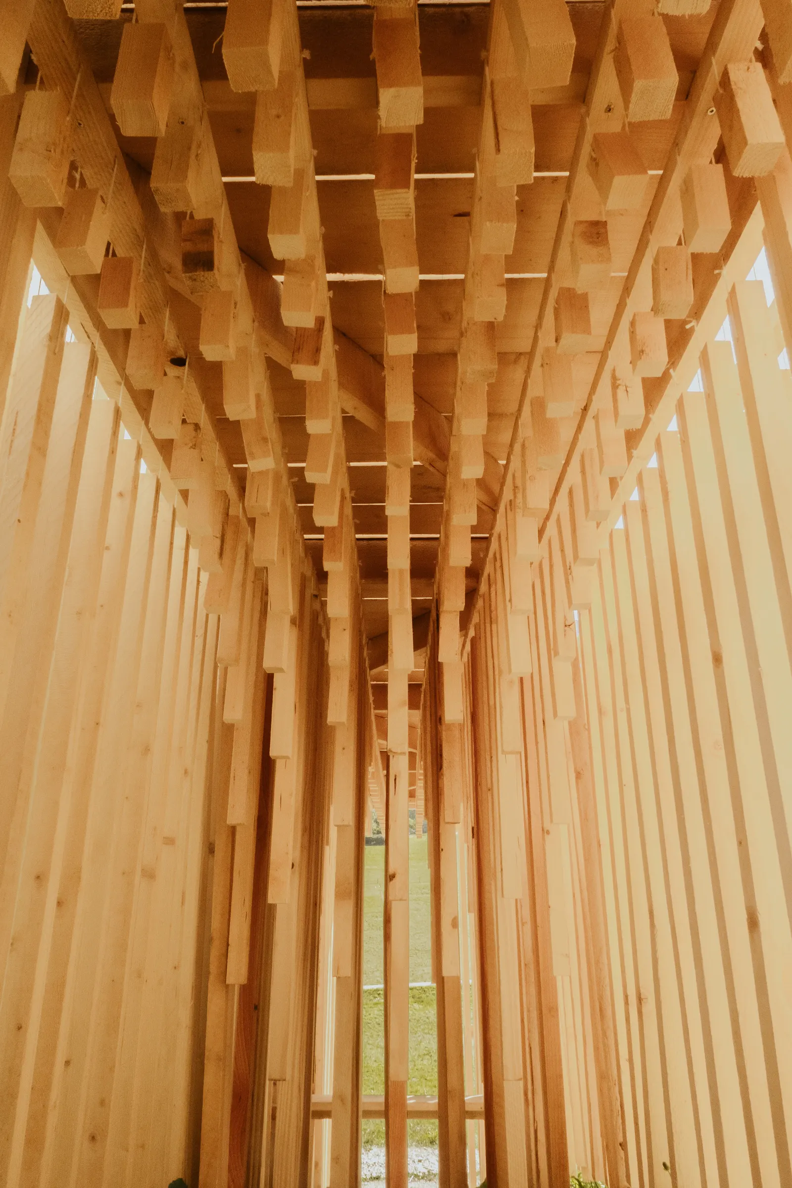 The Sound of Wood / Antoine Aunave, Flora Peyrot, Mathilde Steenhaut, Luc Loviton