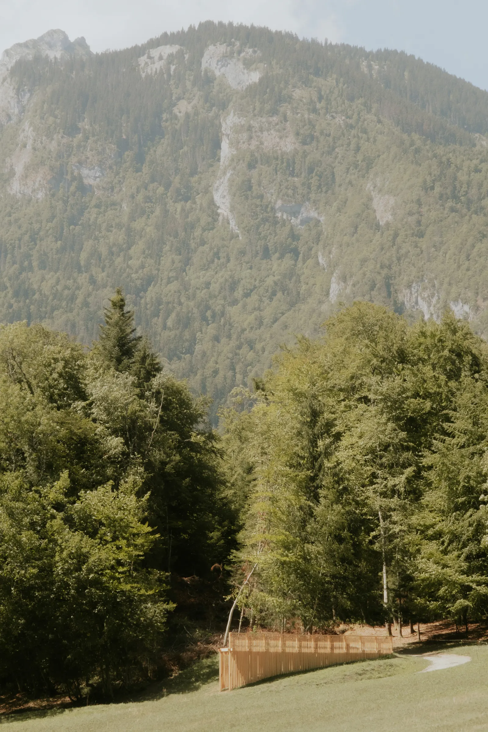 The Sound of Wood / Antoine Aunave, Flora Peyrot, Mathilde Steenhaut, Luc Loviton
