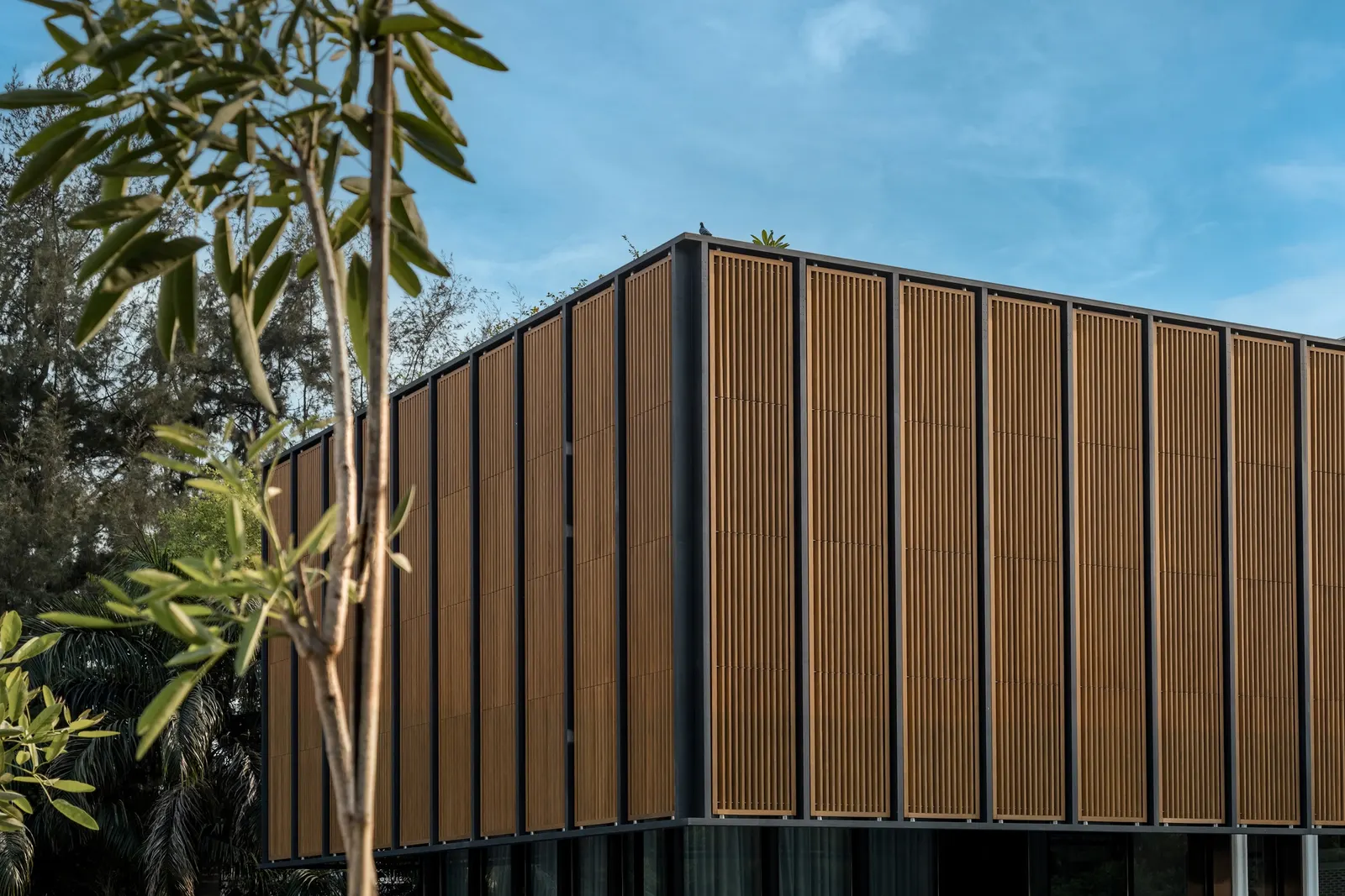 Lighthouse Residence / Architecture Discipline в Нью-Дели: дом, где свет и воздух формируют пространство