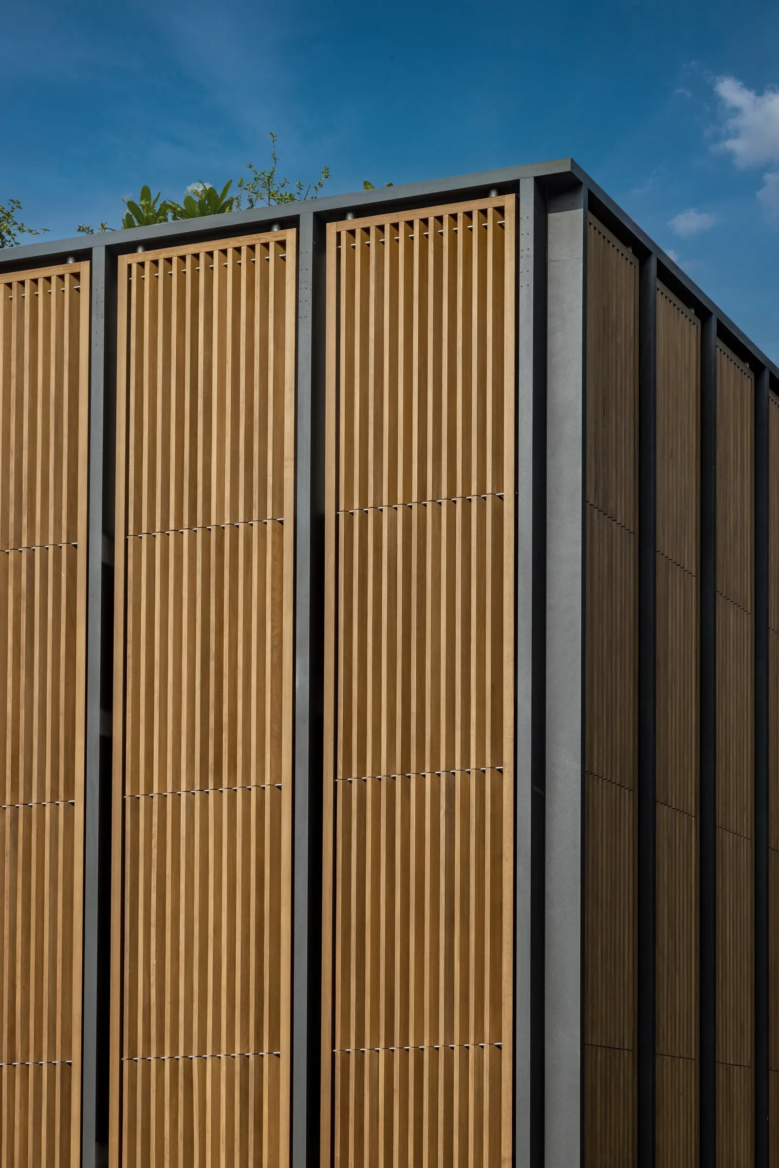 Lighthouse Residence / Architecture Discipline в Нью-Дели: дом, где свет и воздух формируют пространство