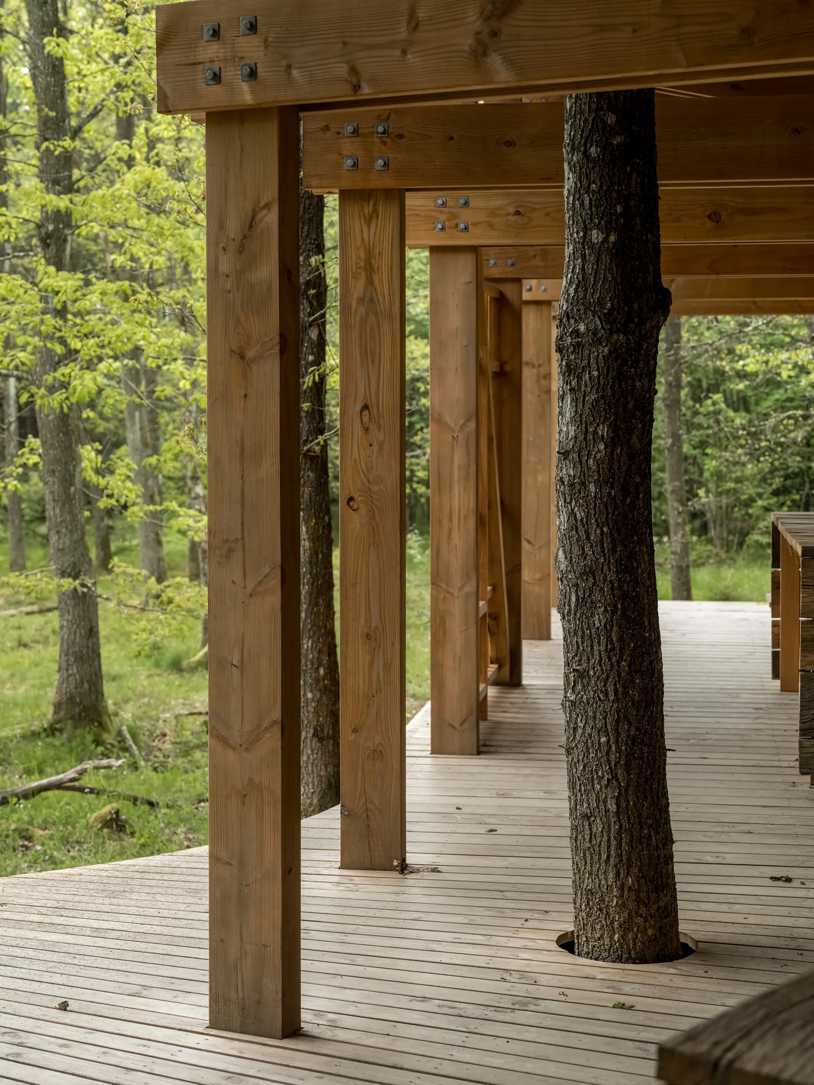 Trailcenter Rytterknægten / Matters architects