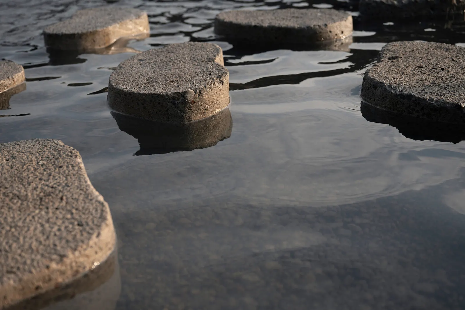Rain Rhizome / TANAT + Rizoma del Agua