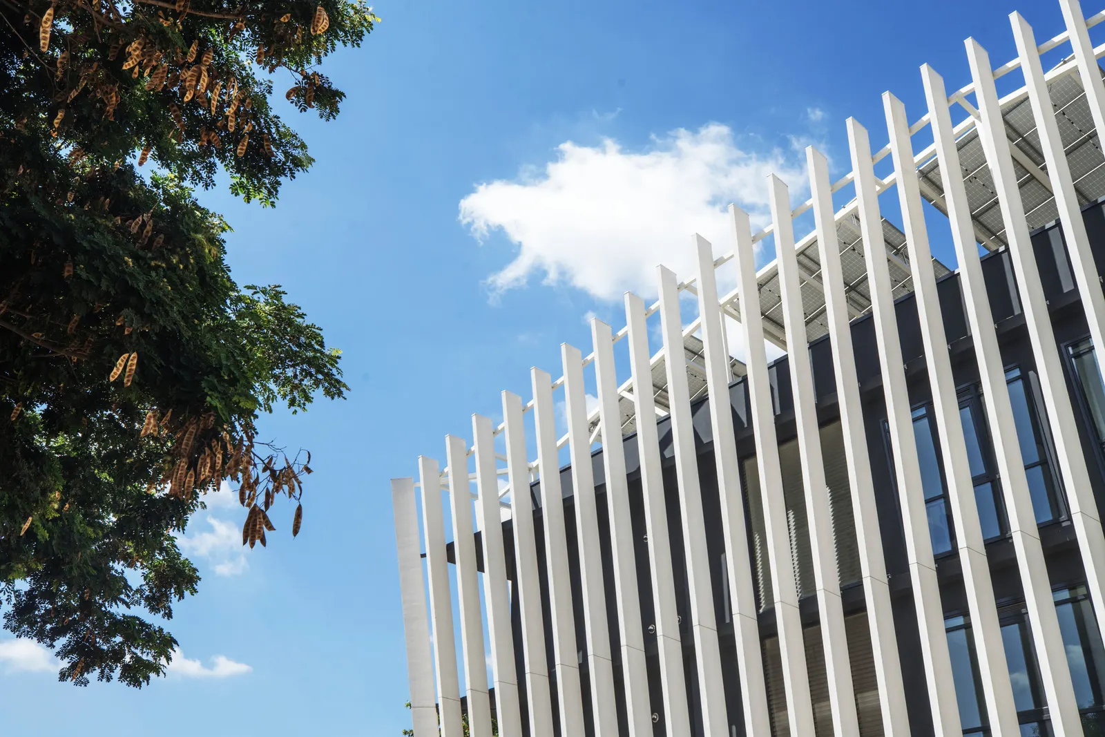 Technology Park of Luanda / Typsa