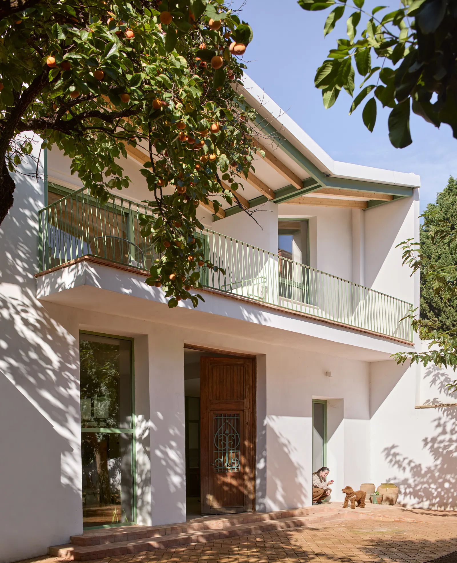 The Doctor’s House / Jose Costa
