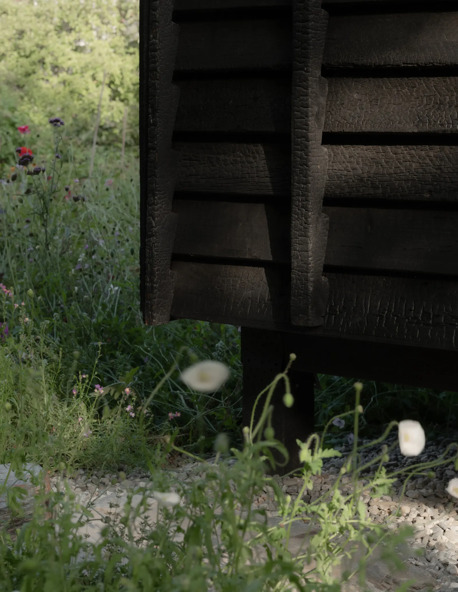 Yakisugi Cabin в Ванака: компактный дом, собранный из доступных материалов