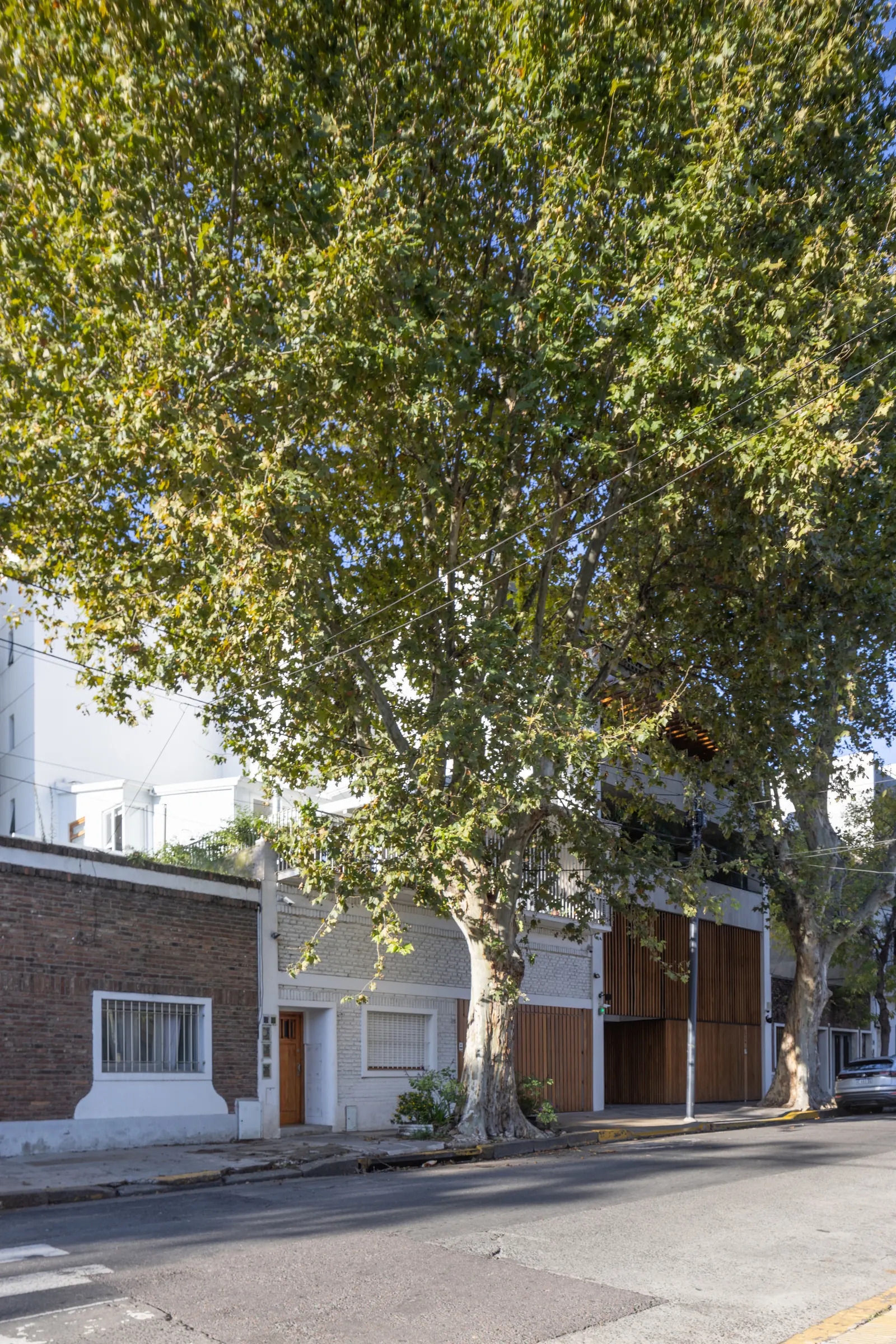 Paroissien House / Veronica Gilotaux