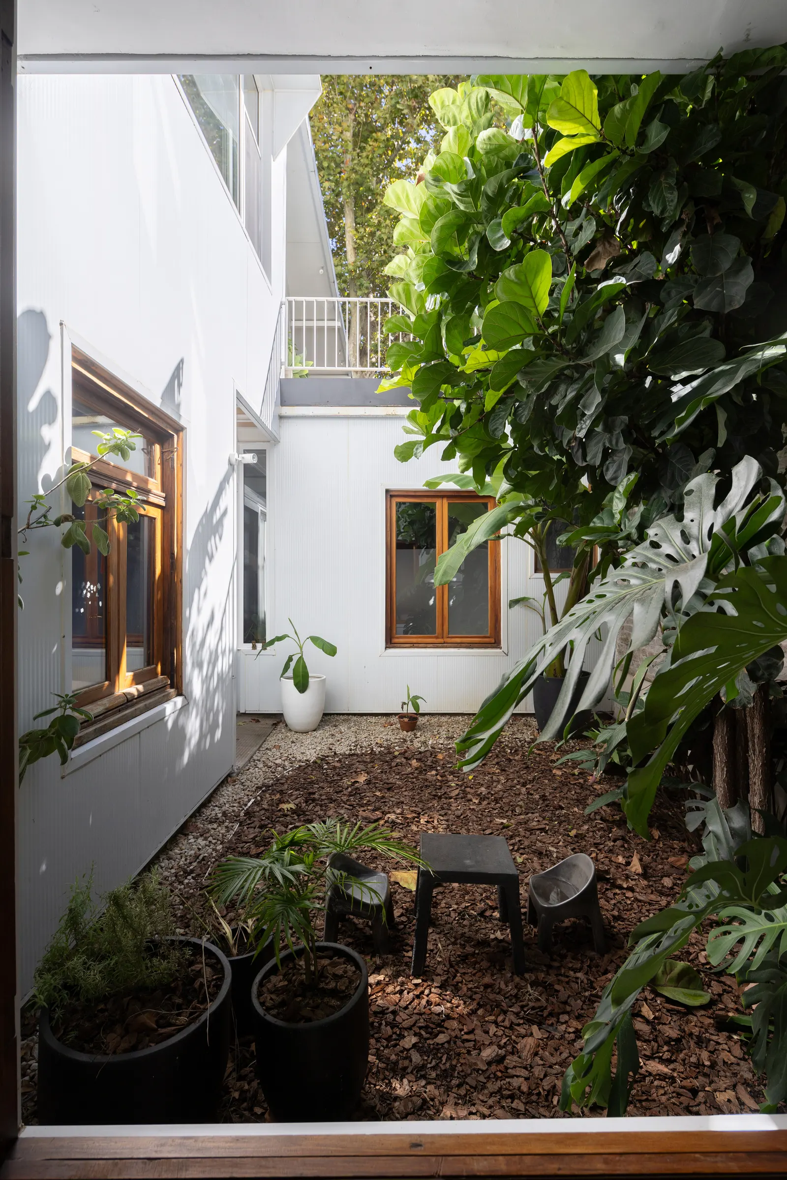 Paroissien House / Veronica Gilotaux