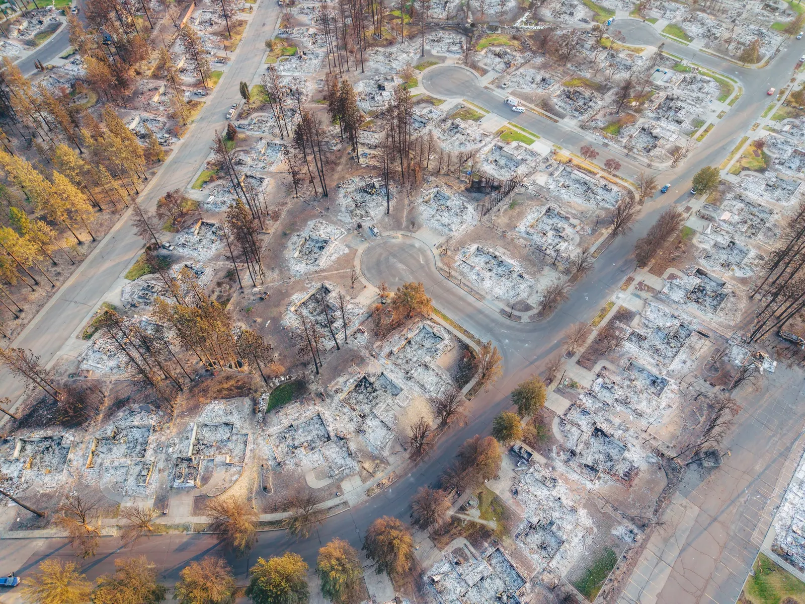 Пожары в Алжире и глобальный сезон возгораний: как огонь меняет города, дороги и инфраструктуру