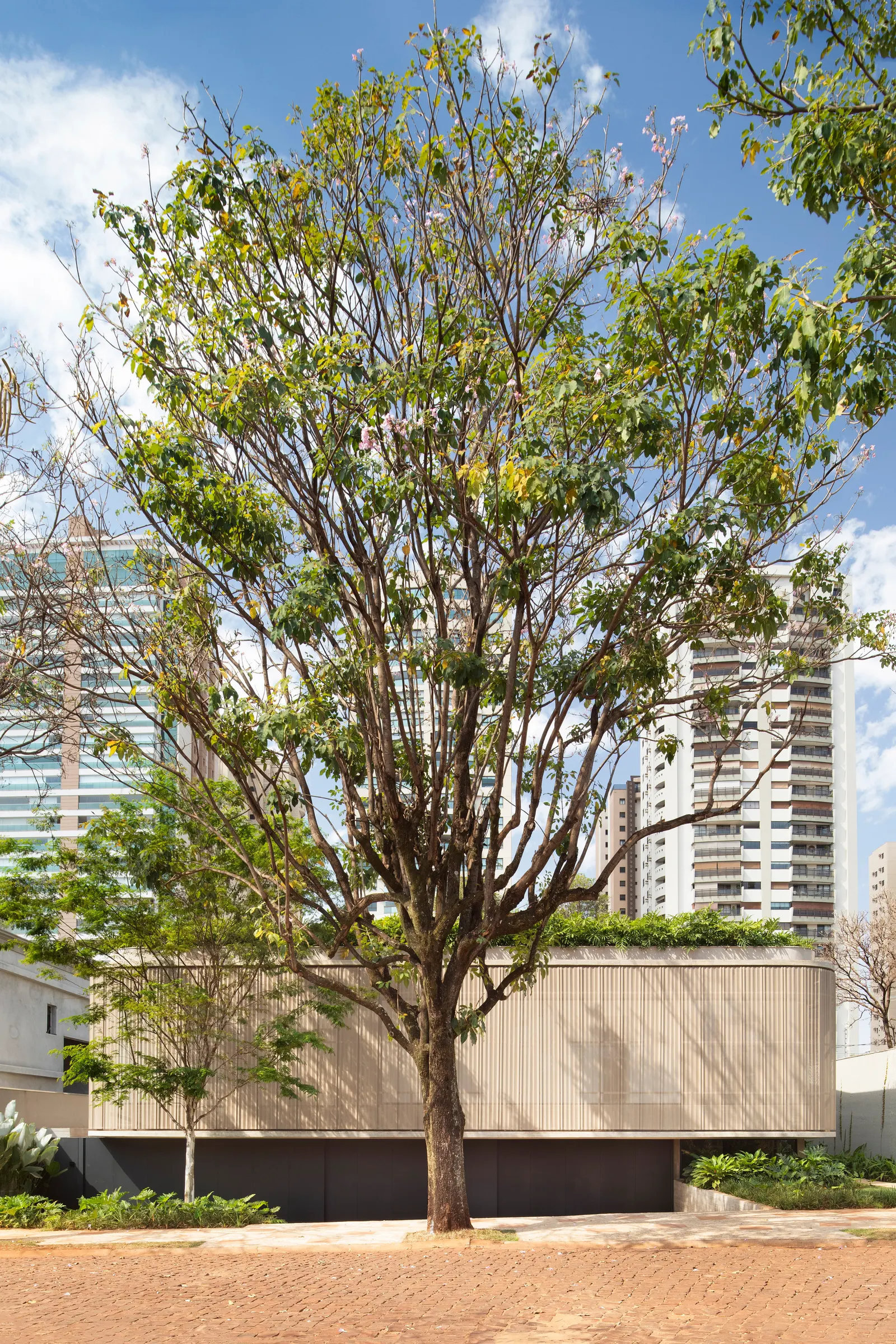 Ella House / Studio Memo