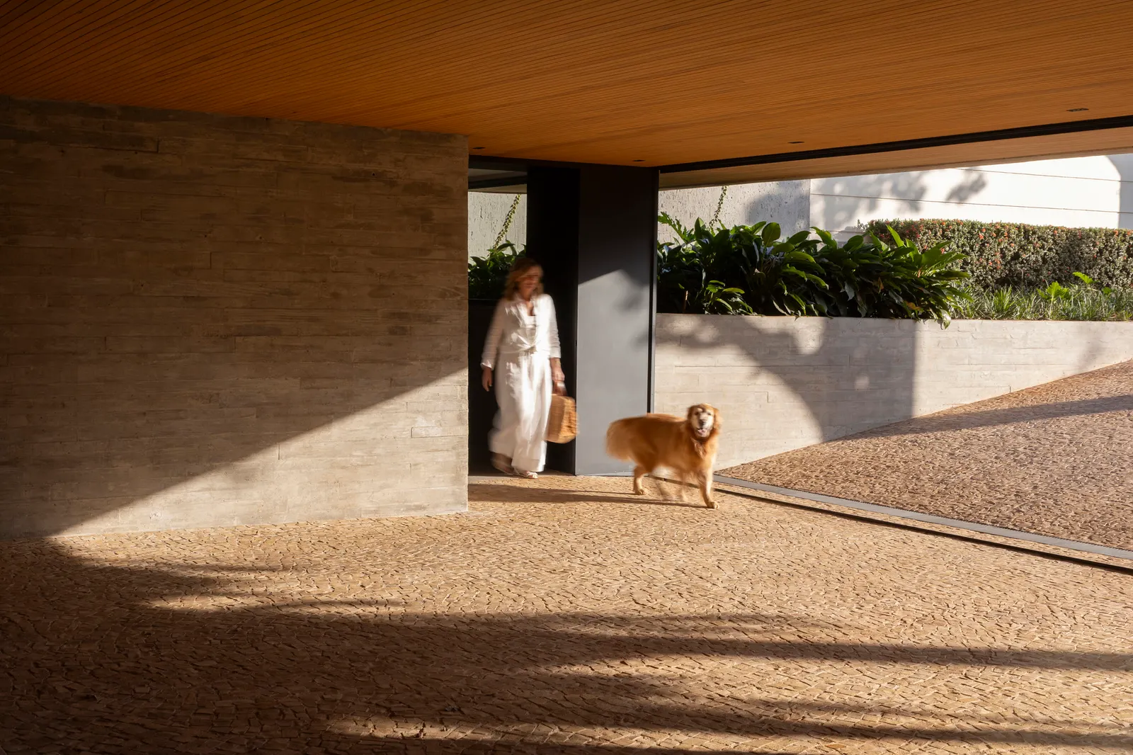 Ella House / Studio Memo