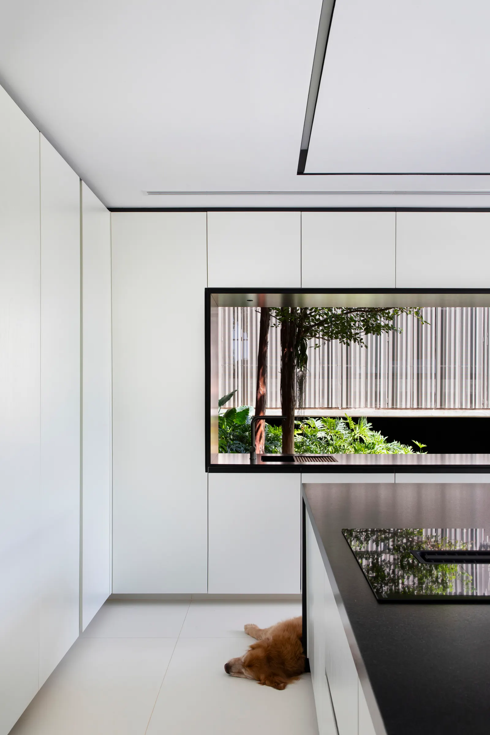 Ella House / Studio Memo