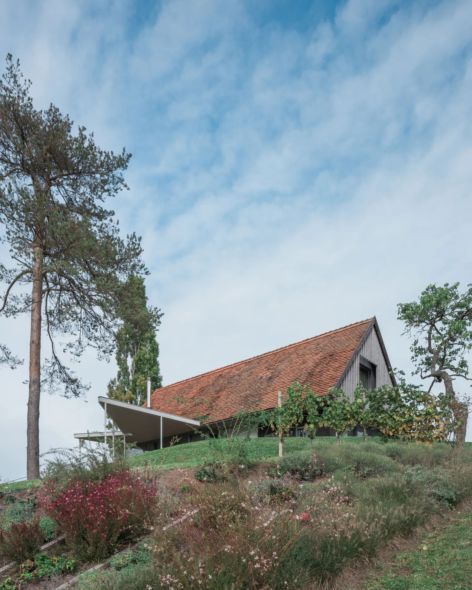 Дом на холме / Gangoly & Kristiner Architects