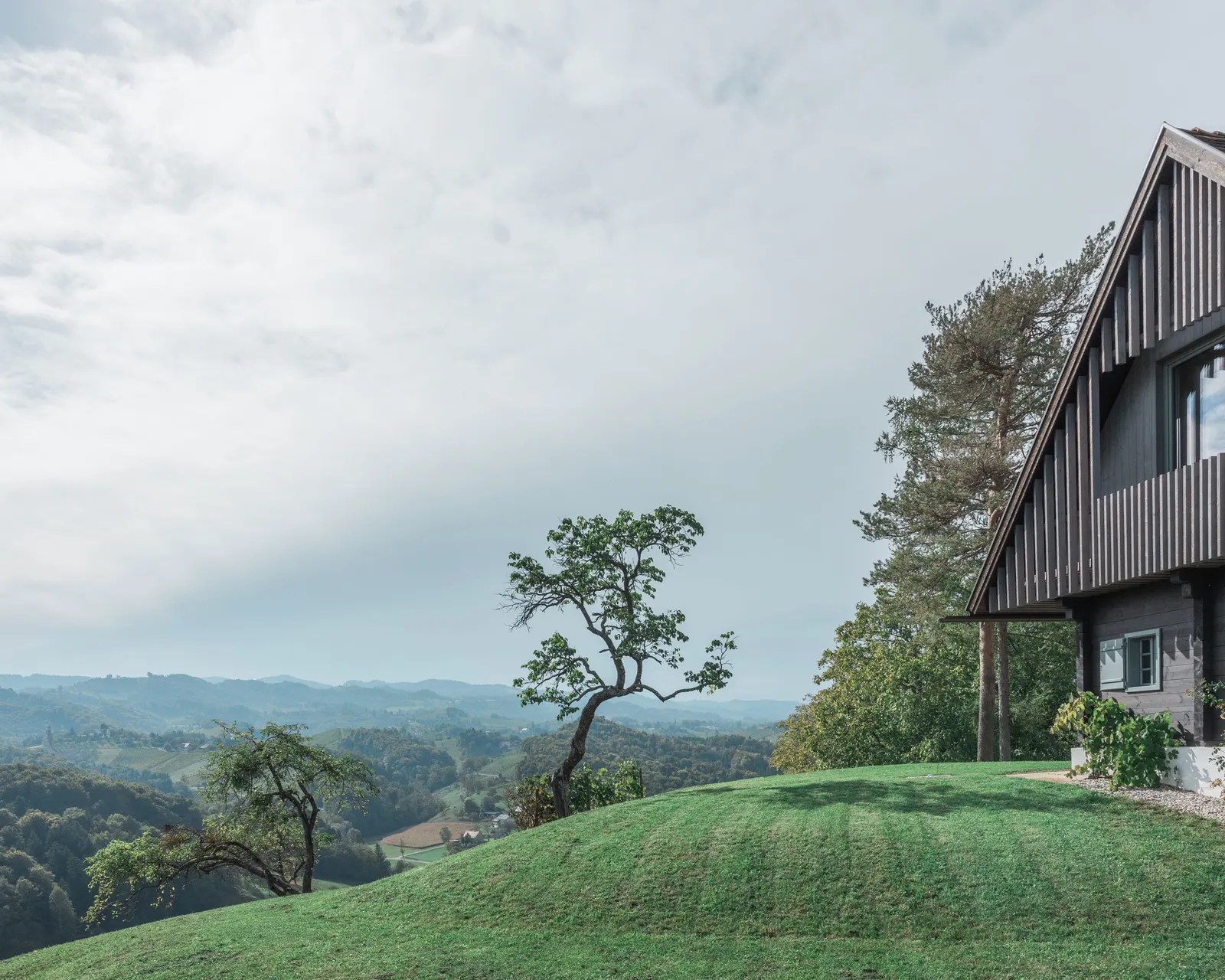 Дом на холме / Gangoly & Kristiner Architects